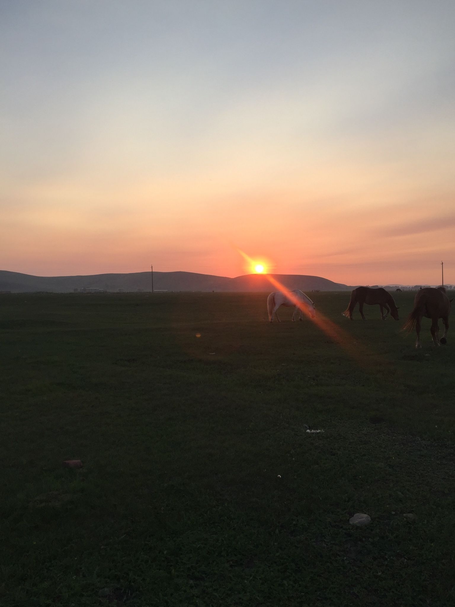 豐寧壩上草原,豐寧京北草原