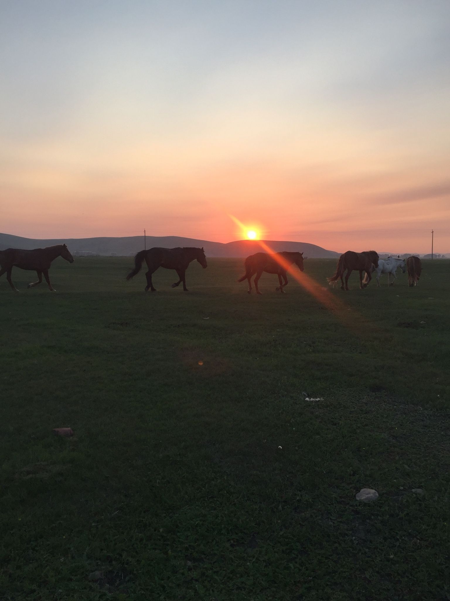 豐寧壩上草原,豐寧京北草原