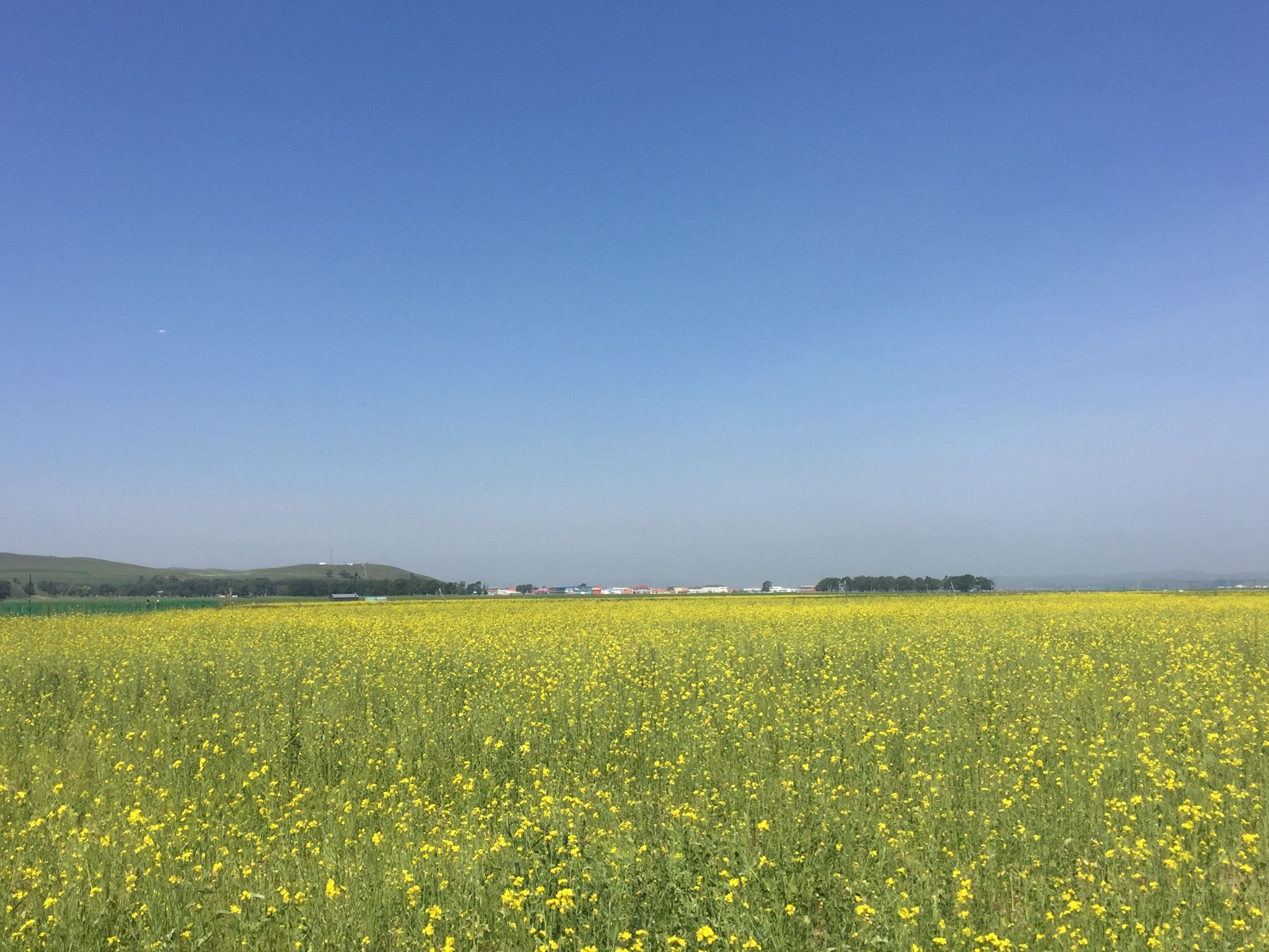豐寧壩上草原,豐寧京北草原