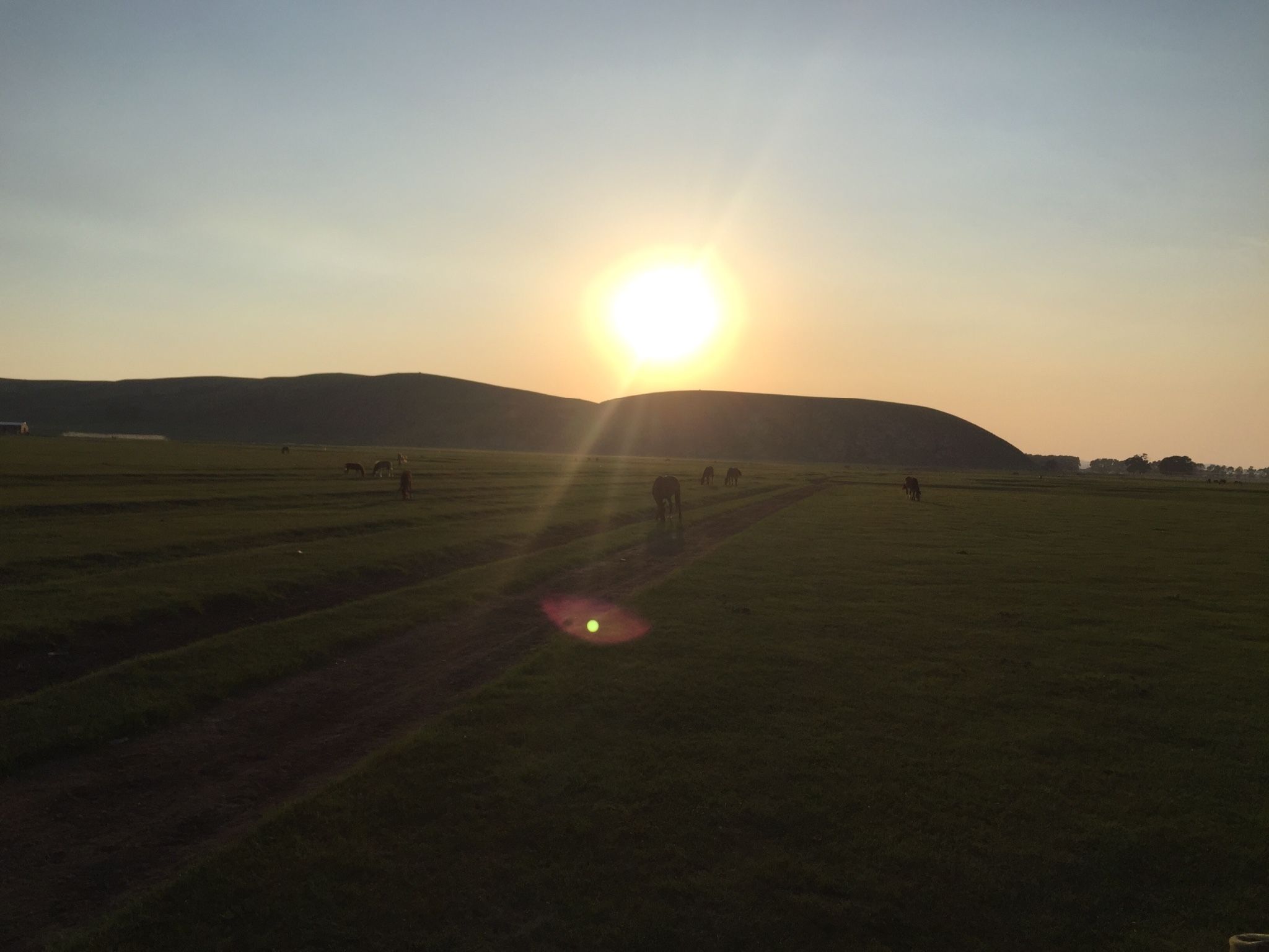 豐寧壩上草原,豐寧京北草原
