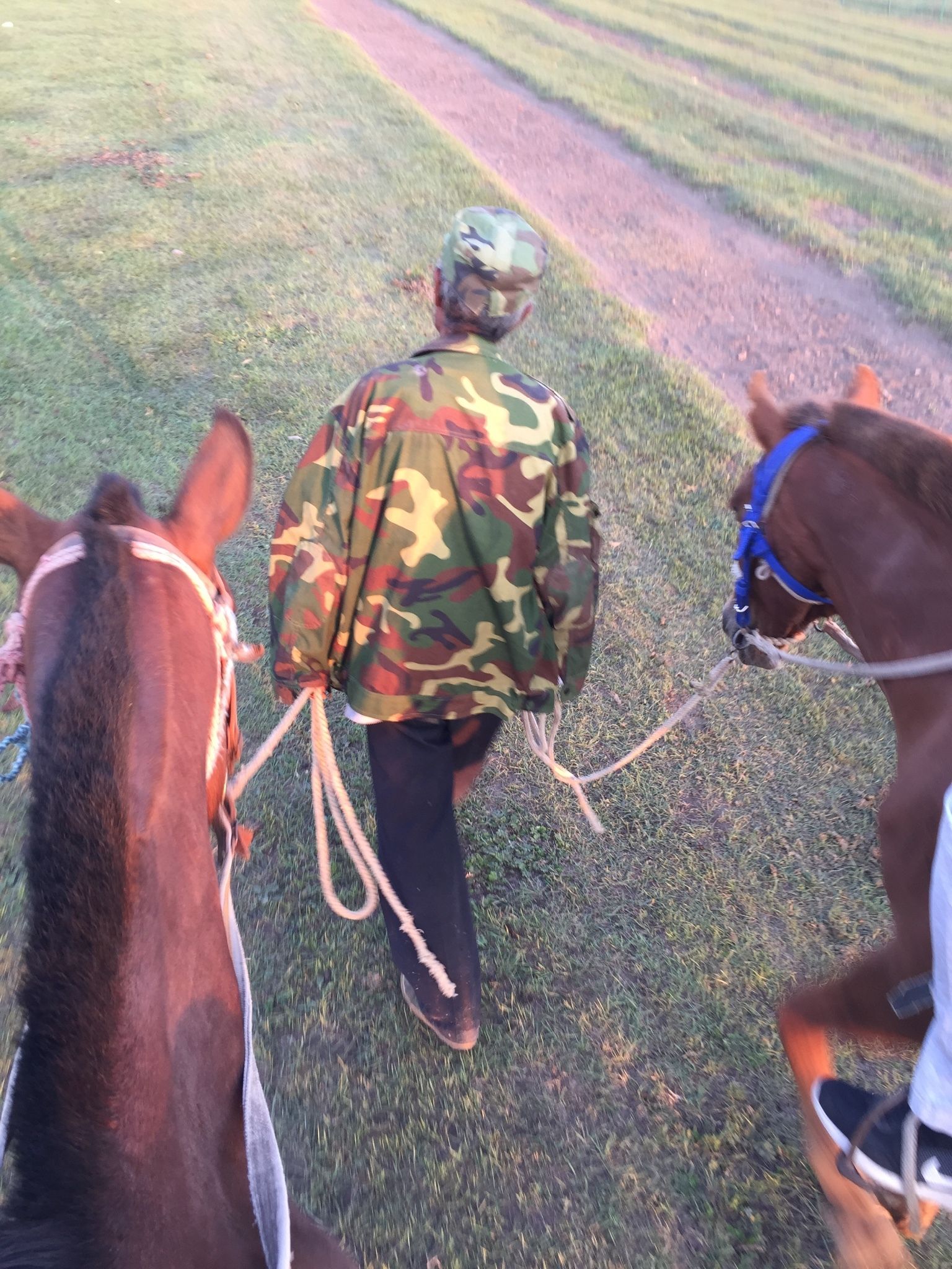 豐寧壩上草原,豐寧京北草原