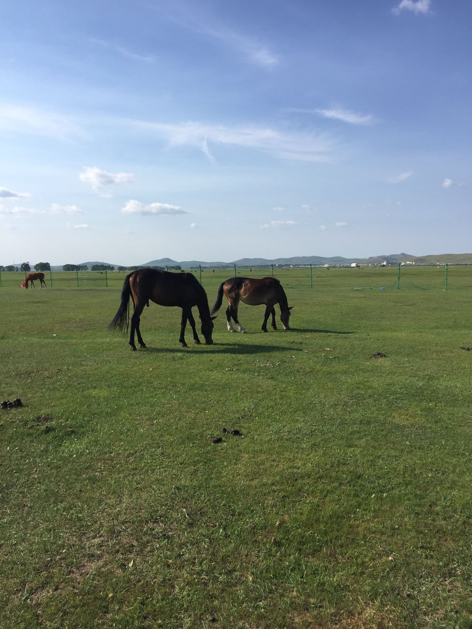豐寧壩上草原,豐寧京北草原