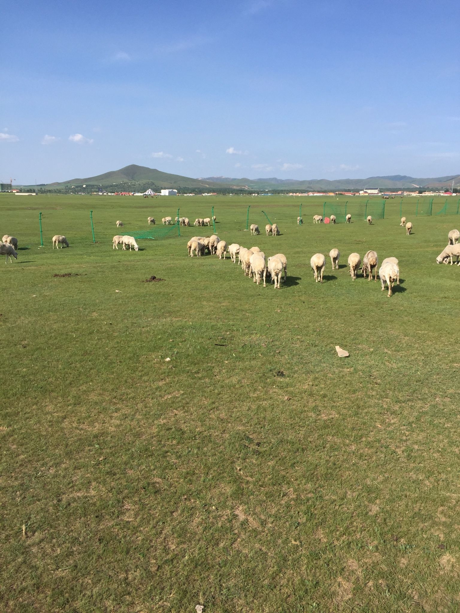 豐寧壩上草原,豐寧京北草原