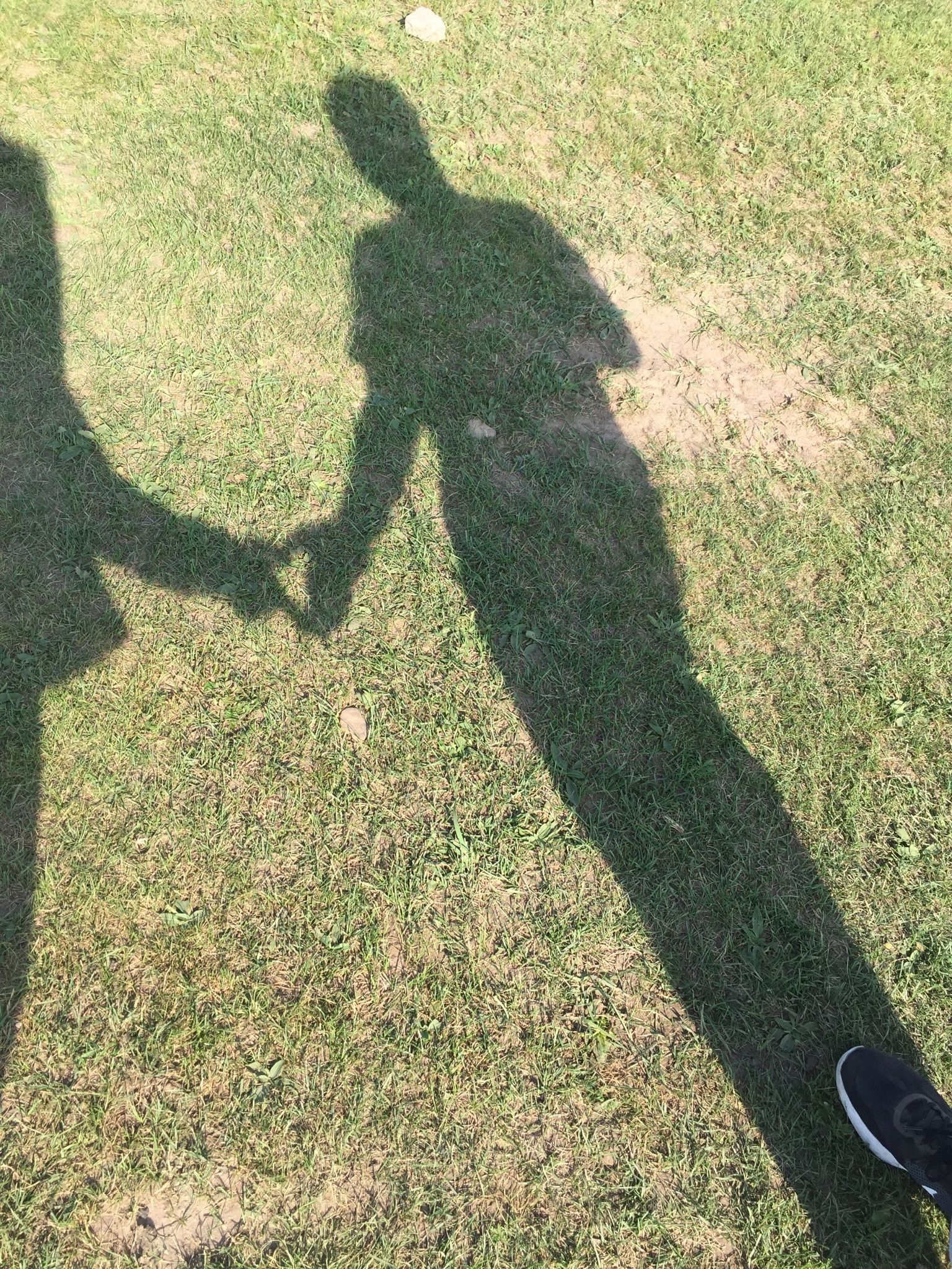 豐寧壩上草原,豐寧京北草原