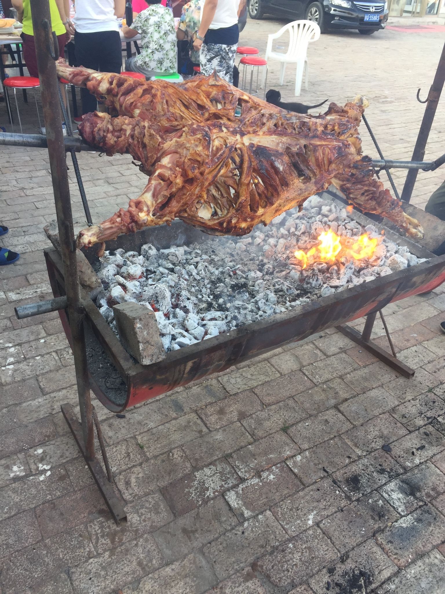 豐寧壩上草原,豐寧京北草原