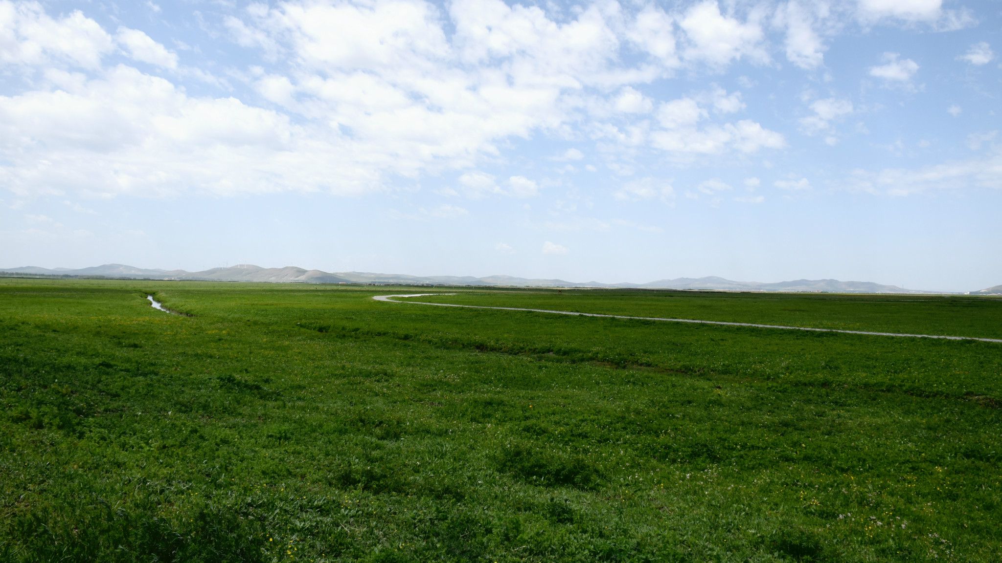 清涼壩上草原行