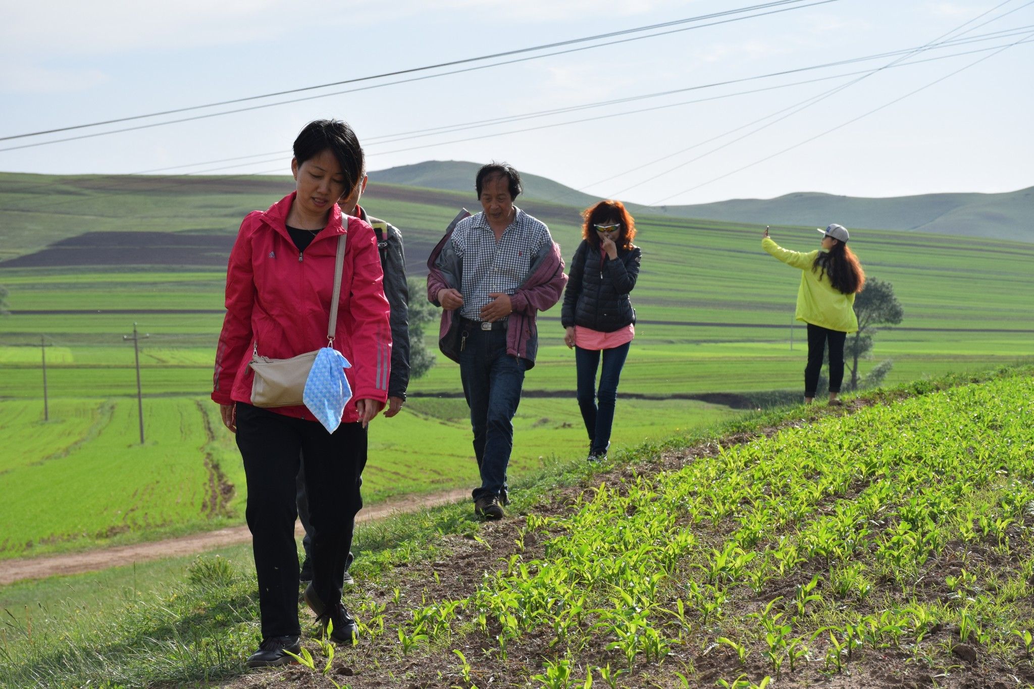 清涼壩上草原行