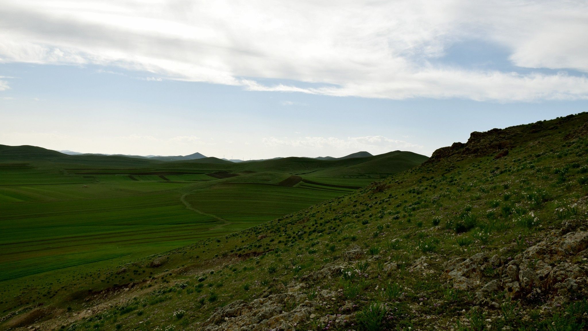 清涼壩上草原行