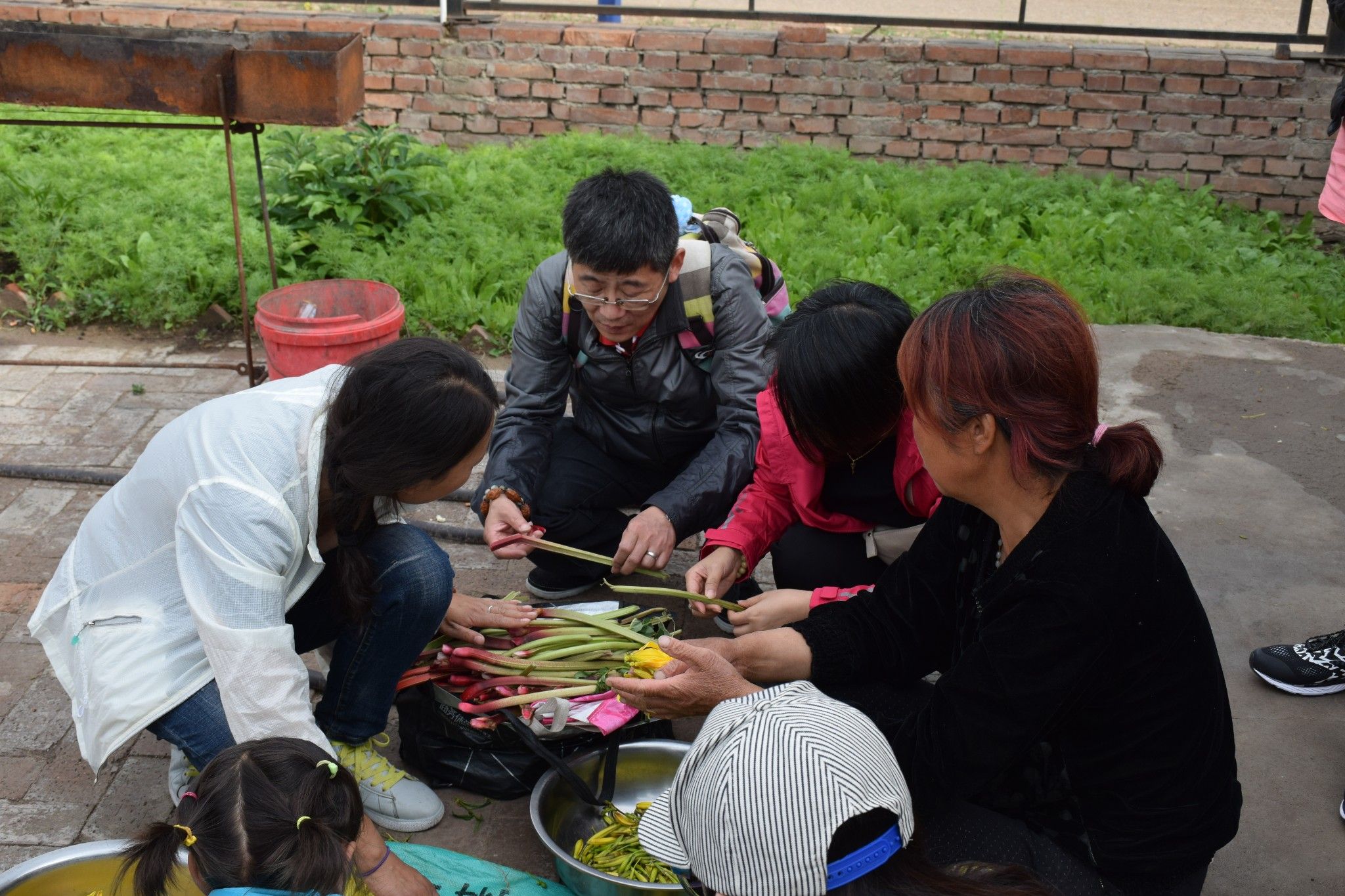 清涼壩上草原行