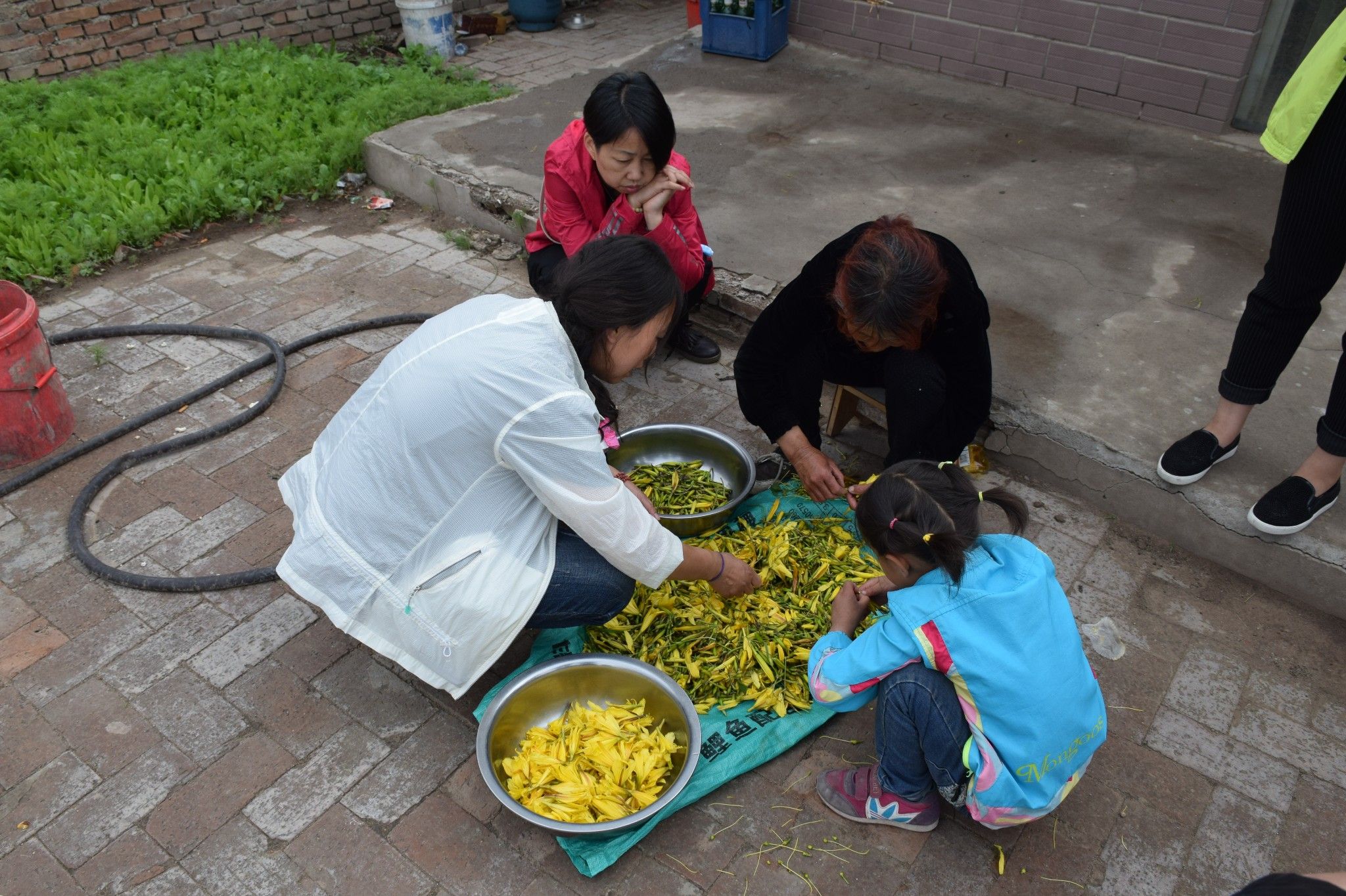 清涼壩上草原行