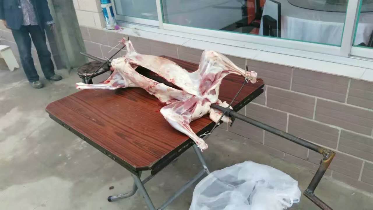 清涼壩上草原行