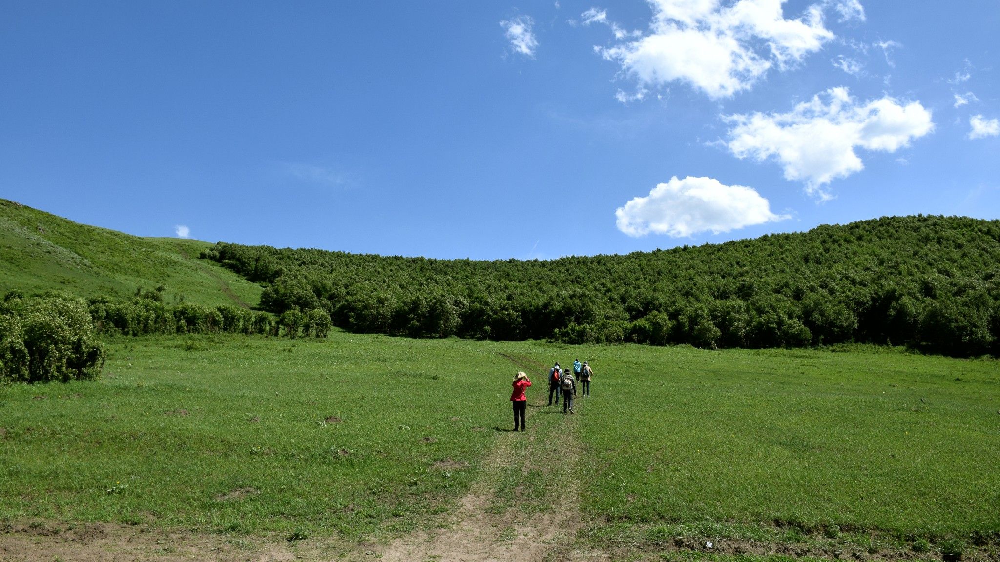 清涼壩上草原行
