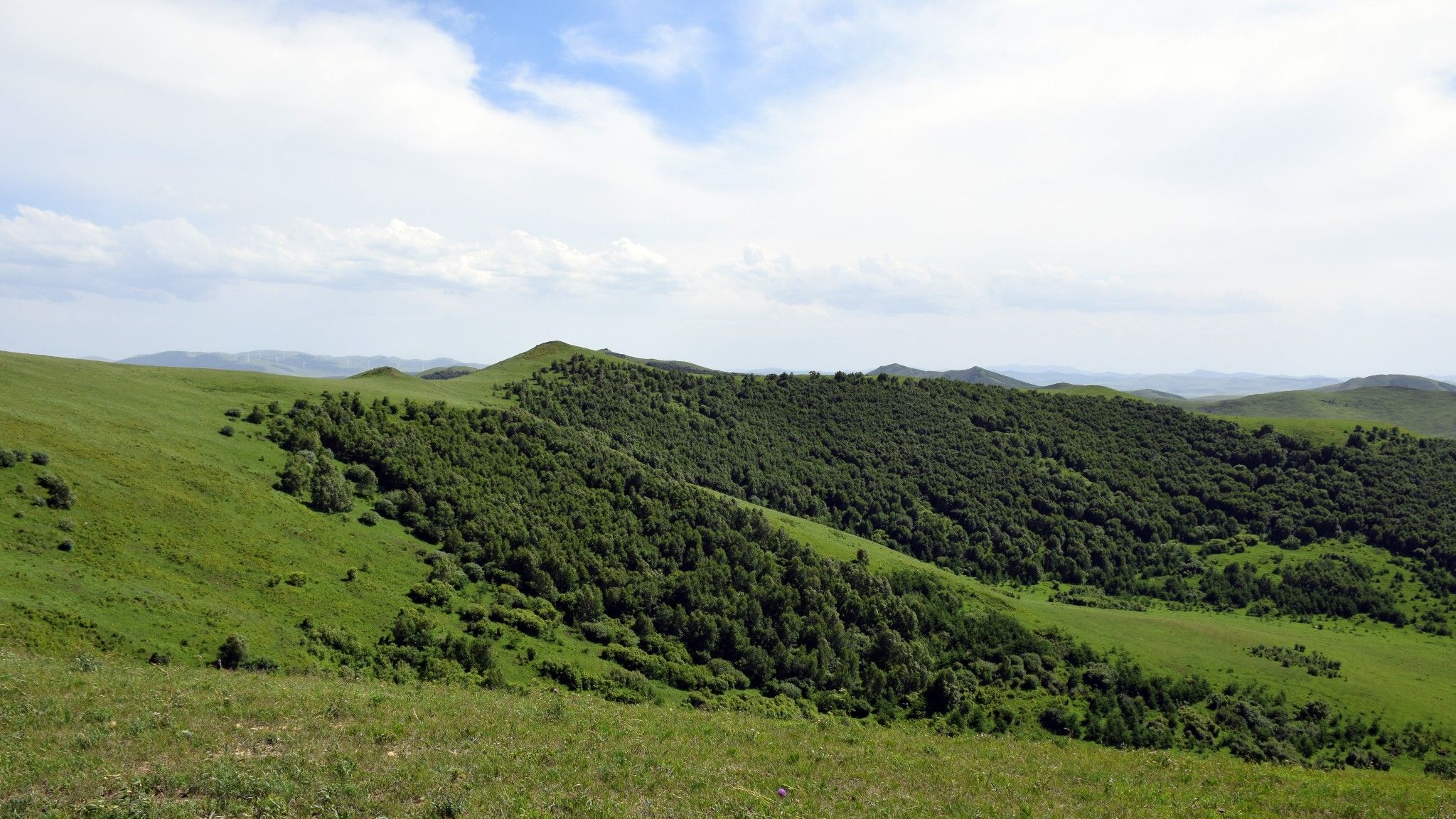 清涼壩上草原行