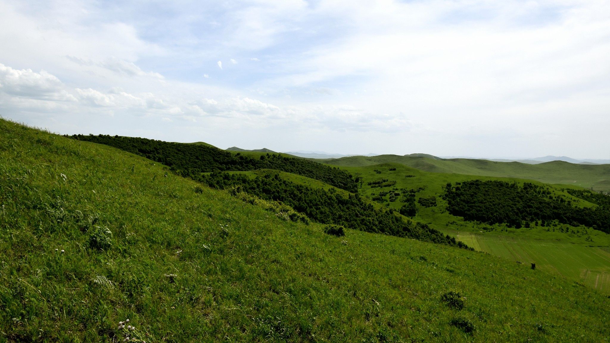 清涼壩上草原行