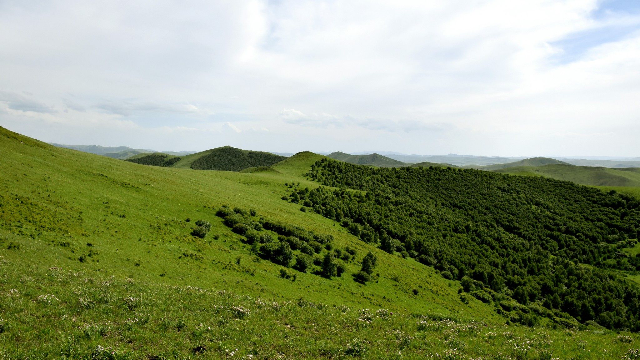 清涼壩上草原行