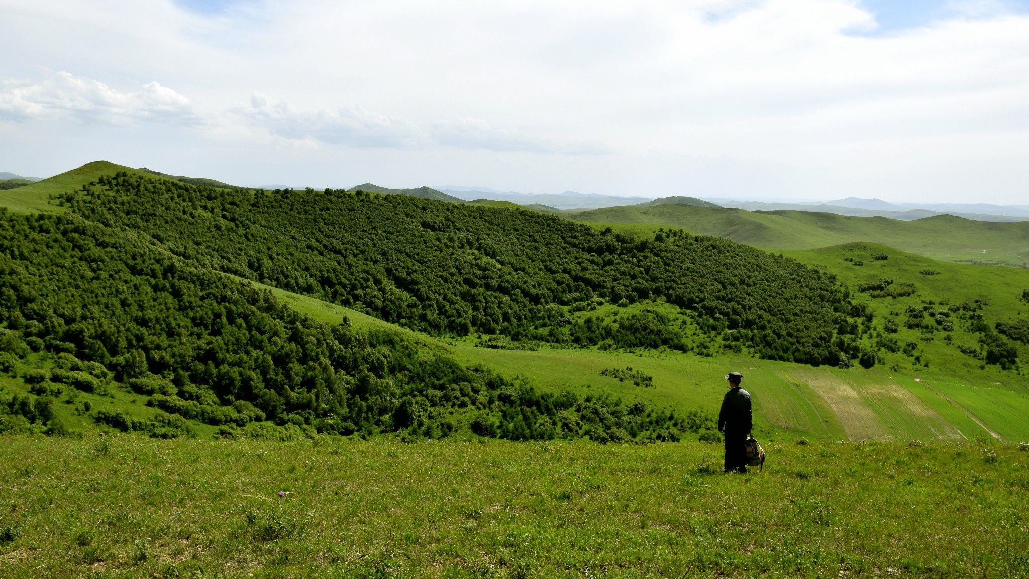 清涼壩上草原行