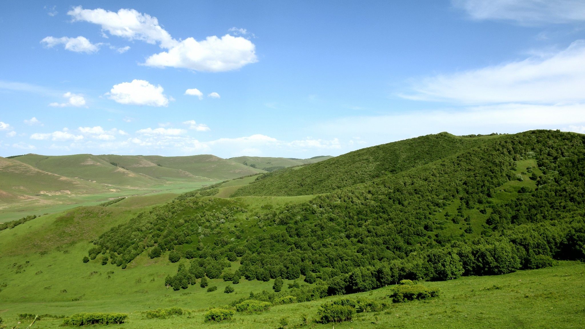 清涼壩上草原行