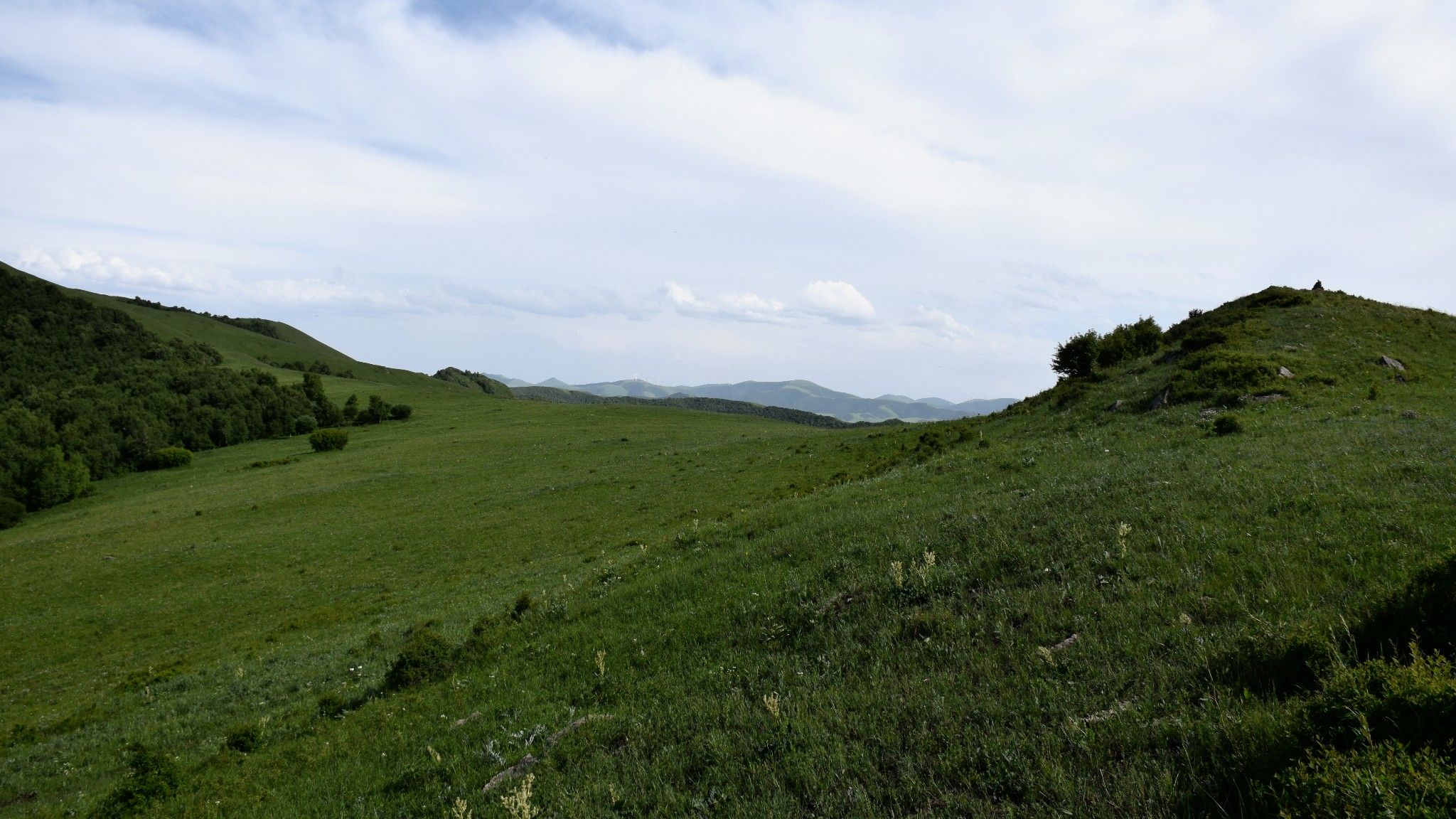 清涼壩上草原行