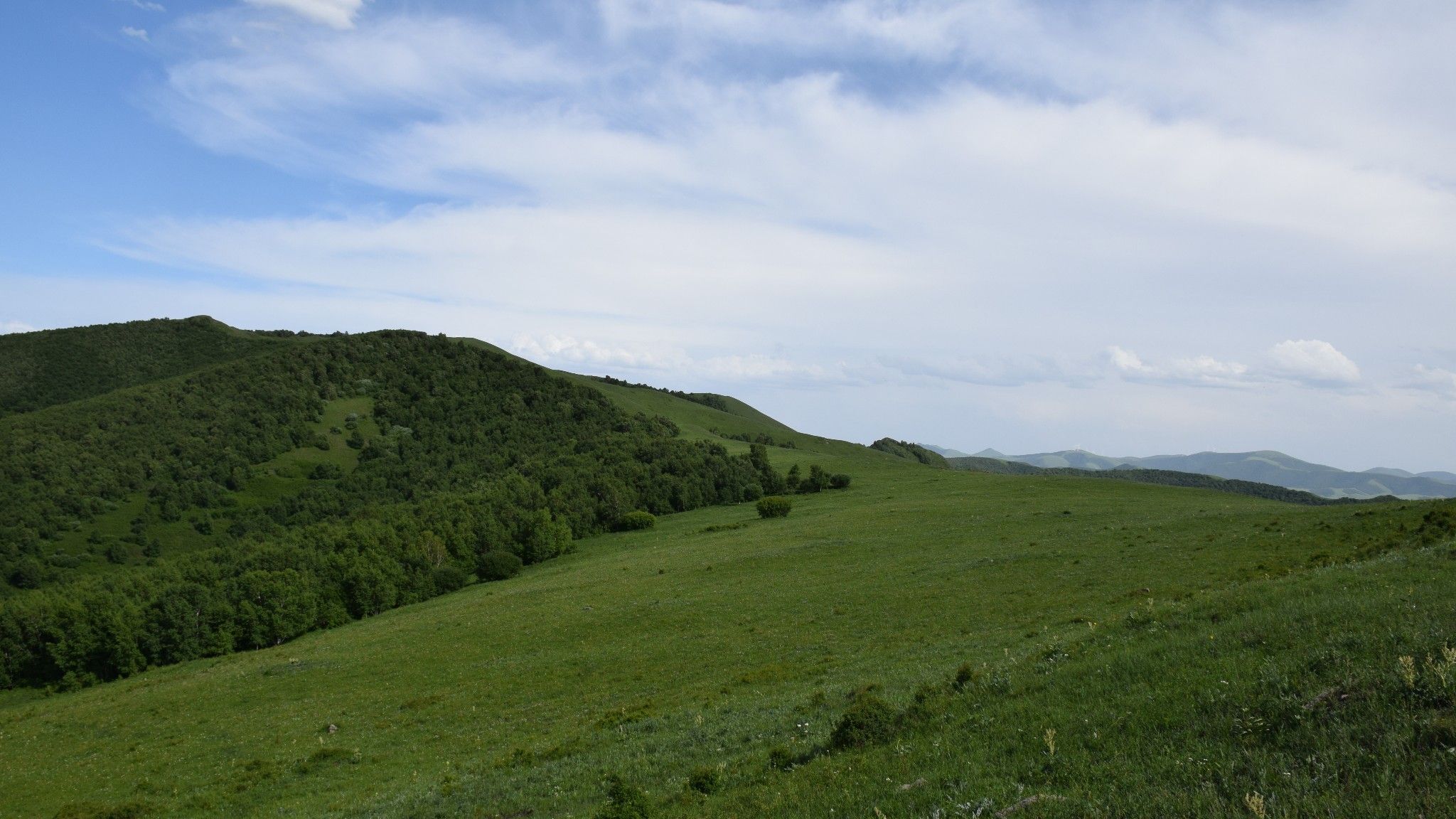 清涼壩上草原行