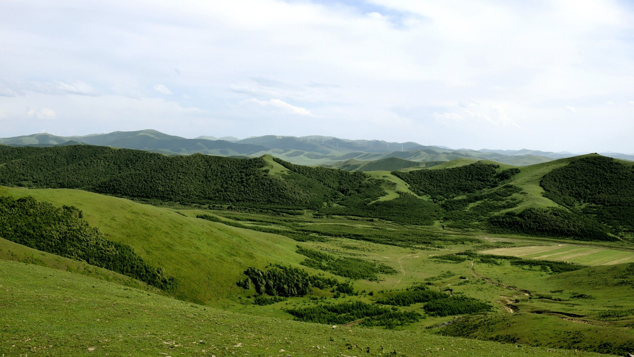 清涼壩上草原行