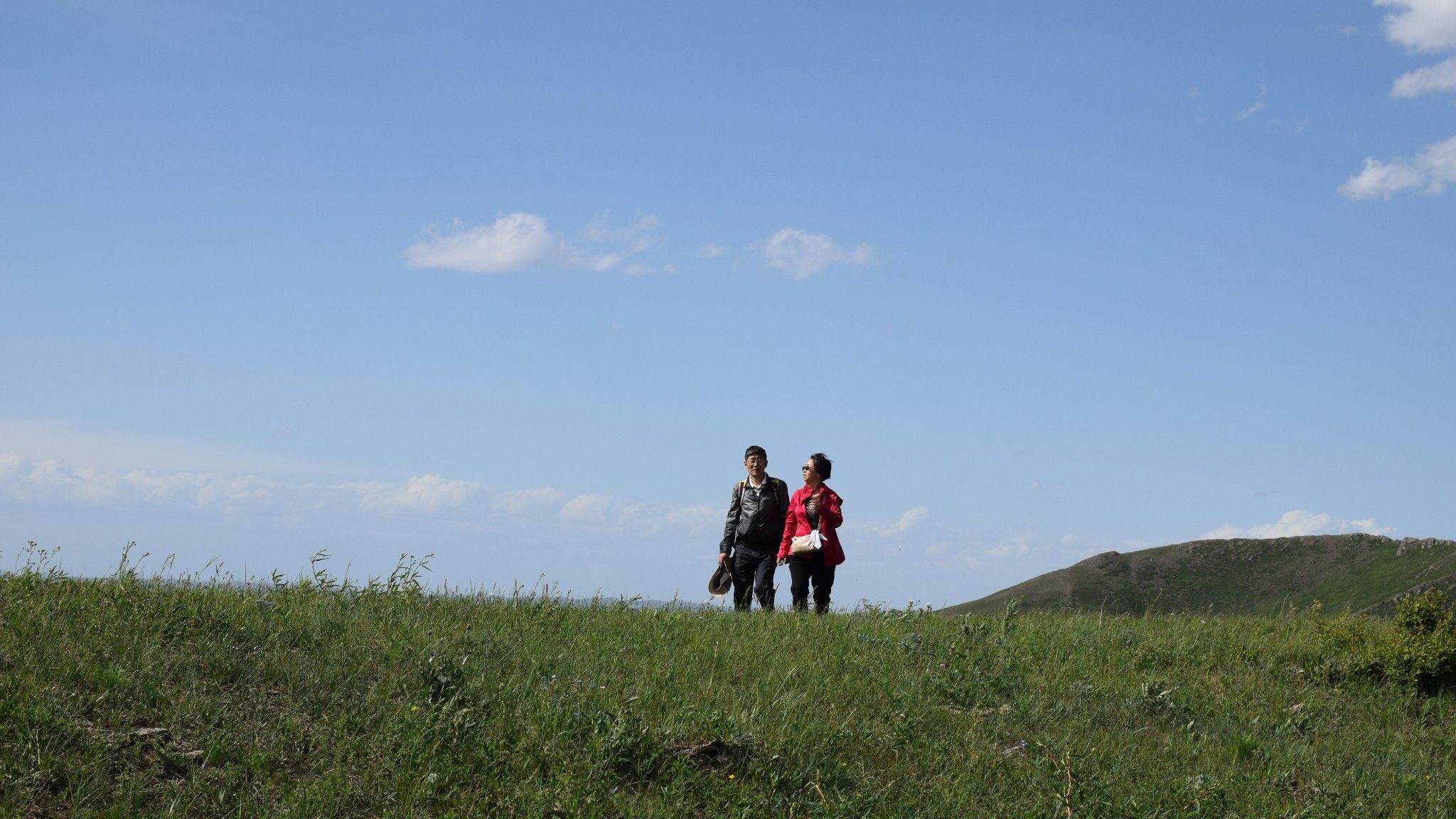 清涼壩上草原行