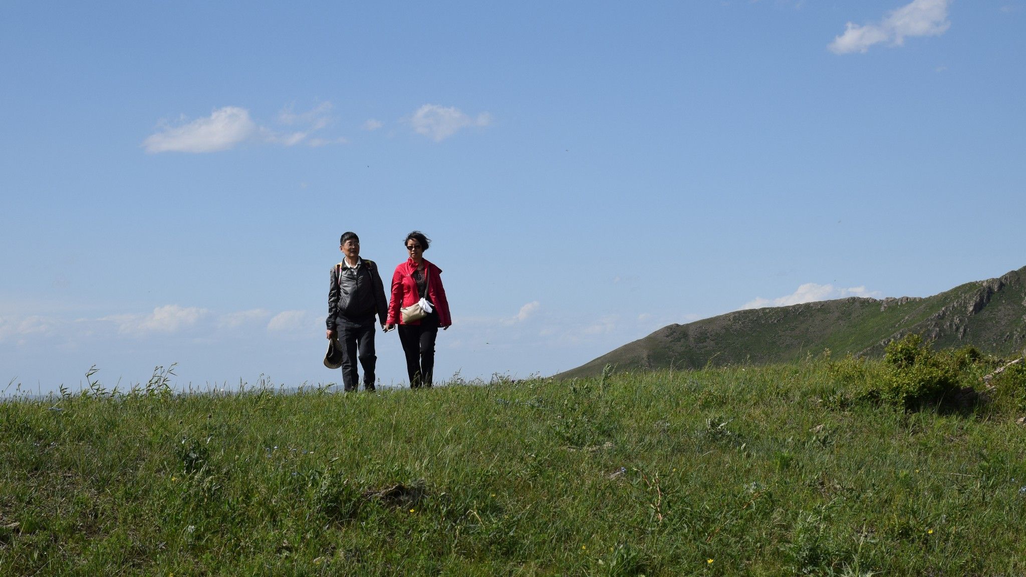 清涼壩上草原行