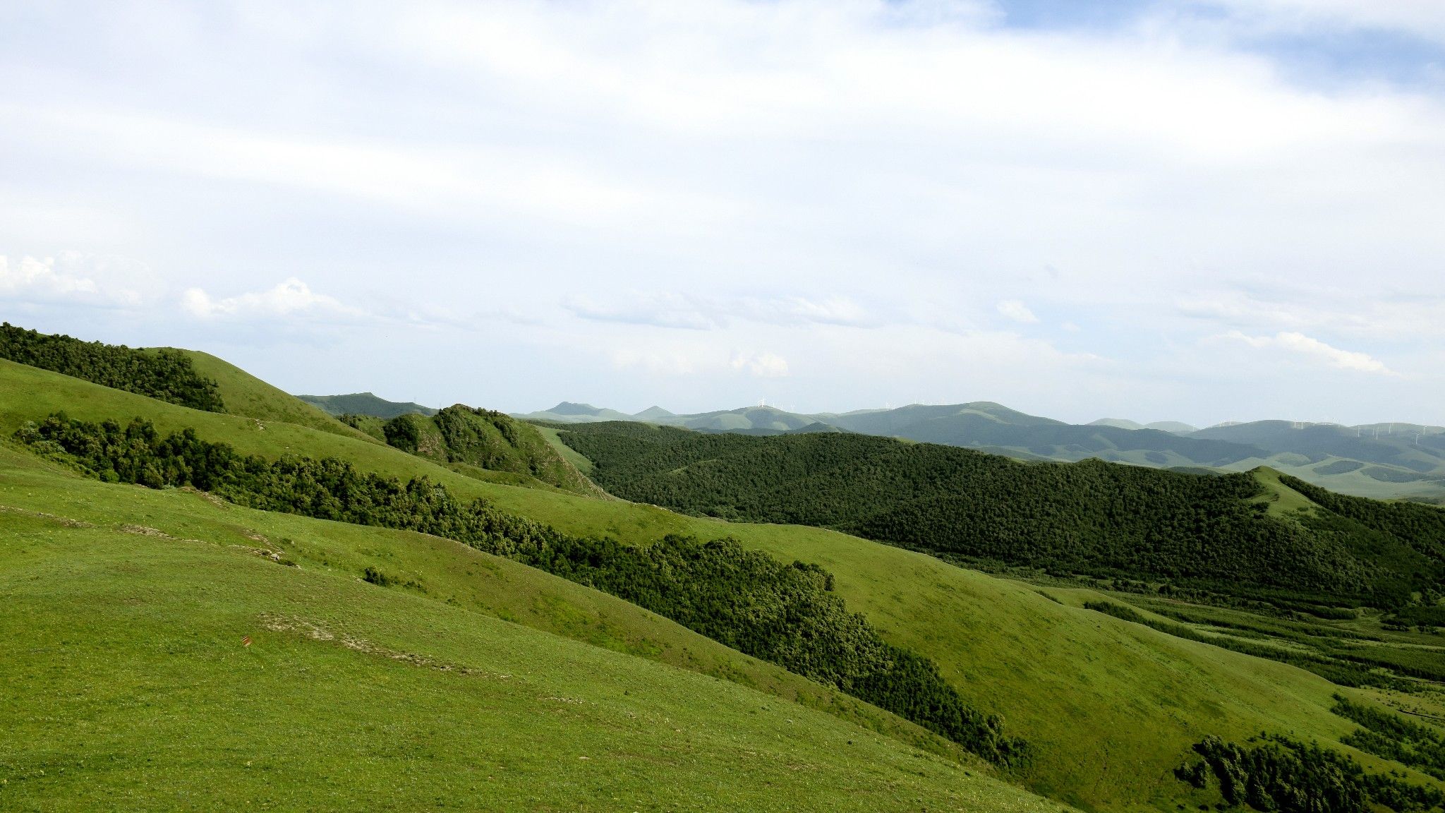 清涼壩上草原行