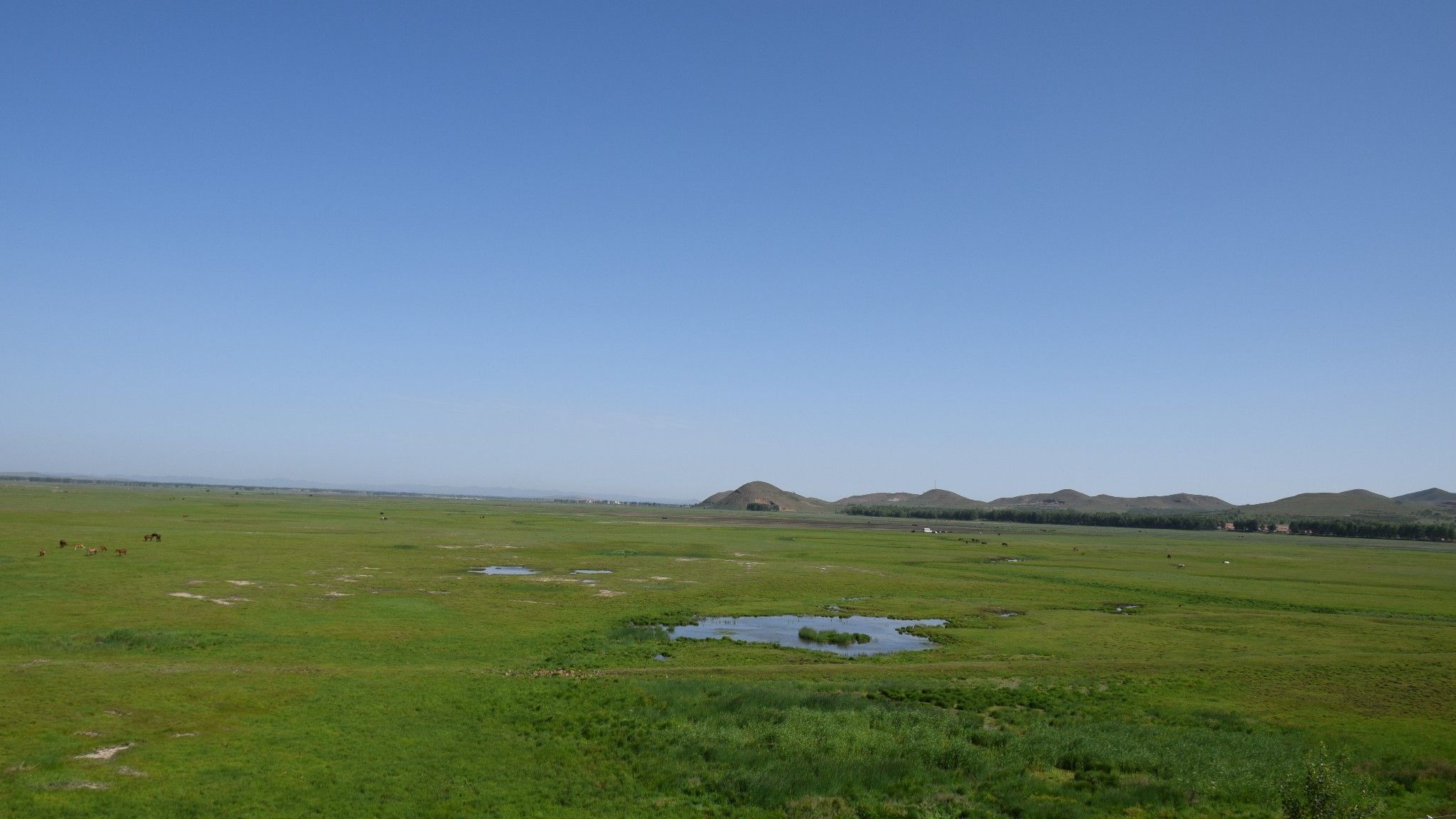 清涼壩上草原行