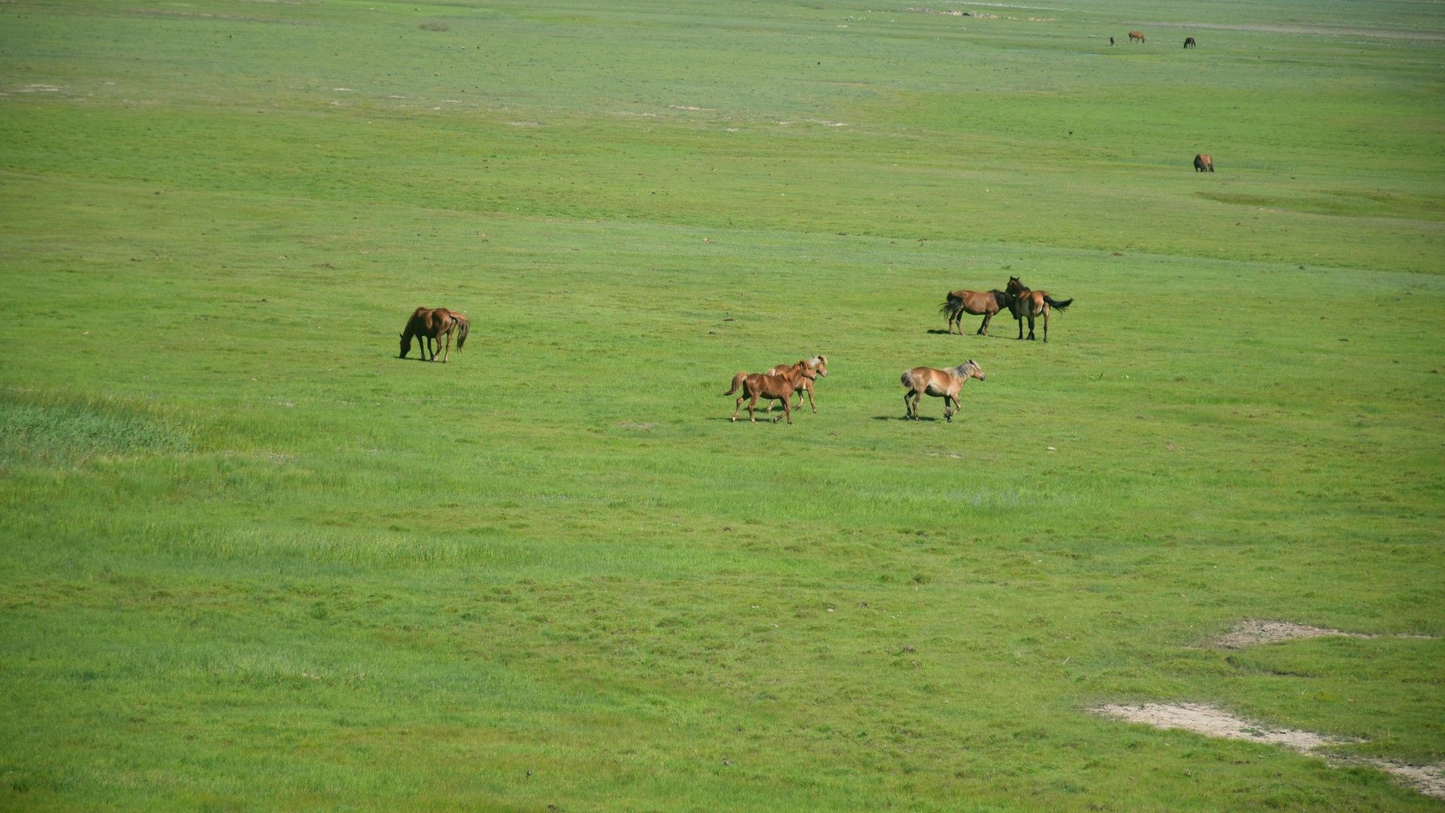 清涼壩上草原行
