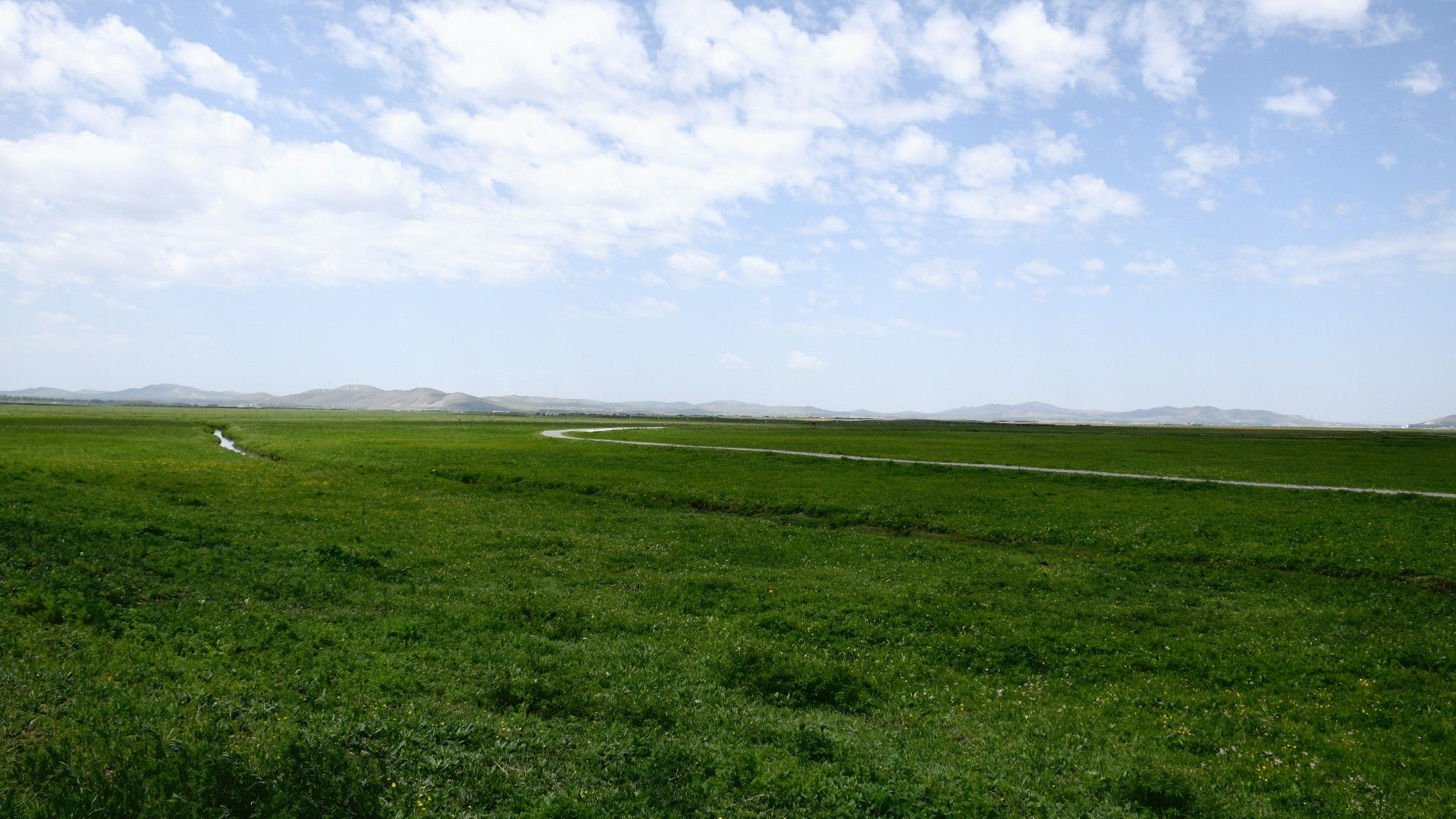 清涼壩上草原行