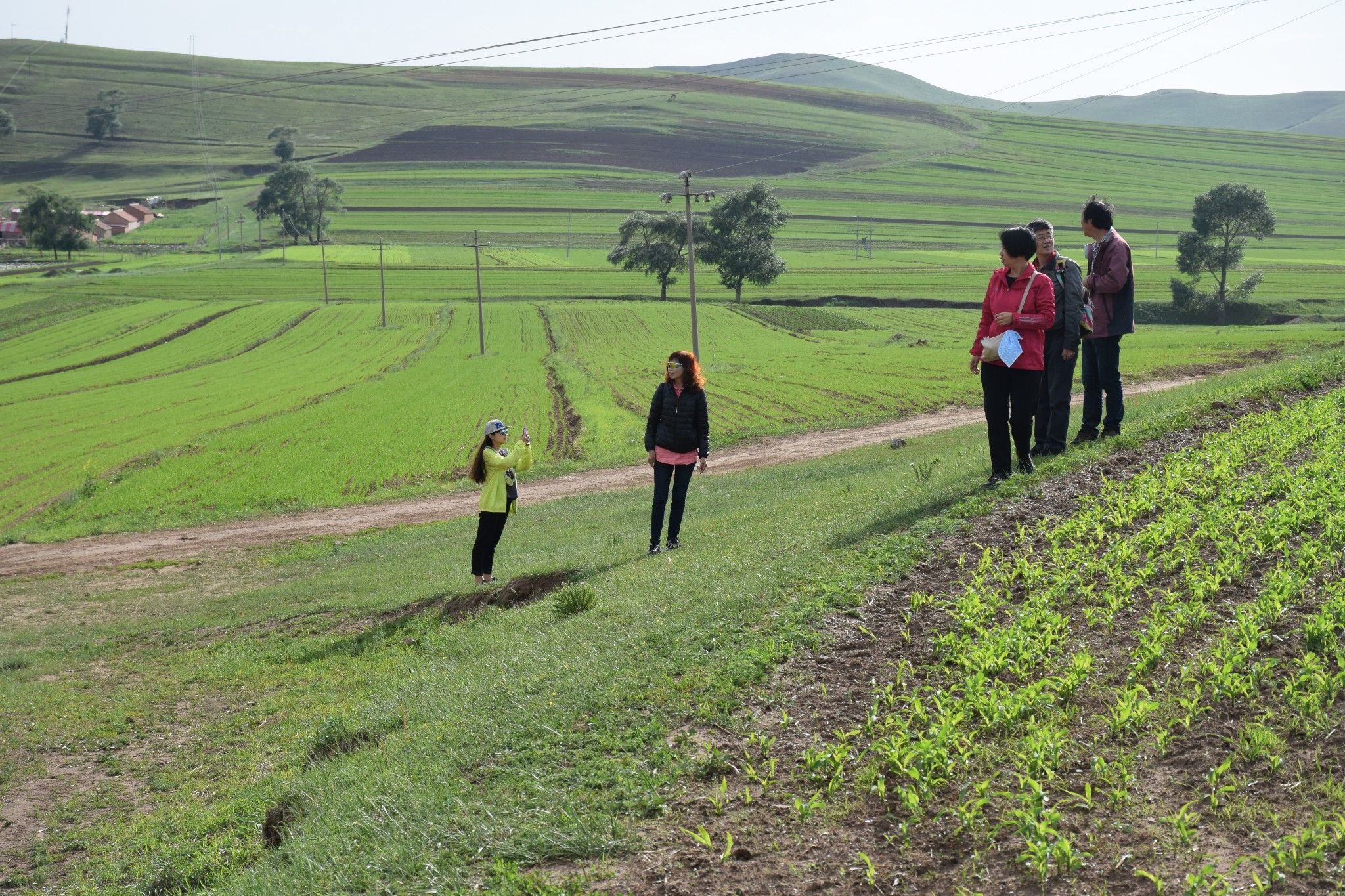 清涼壩上草原行