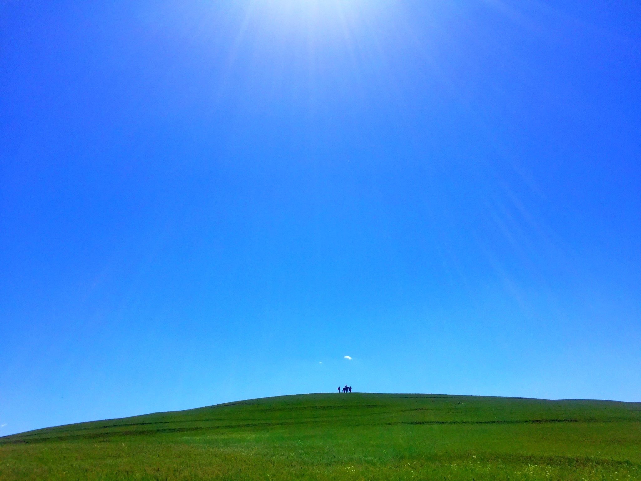 豐寧京北第一草原