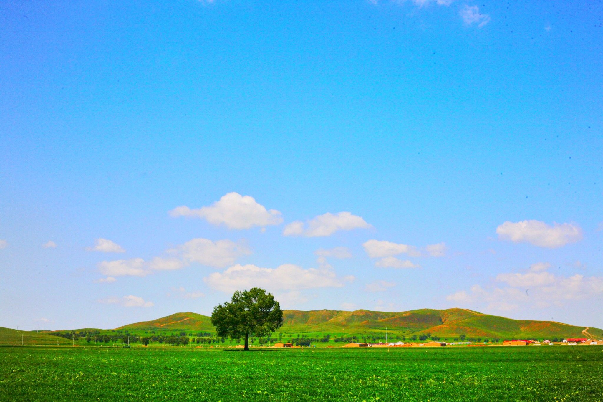 豐寧京北第一草原