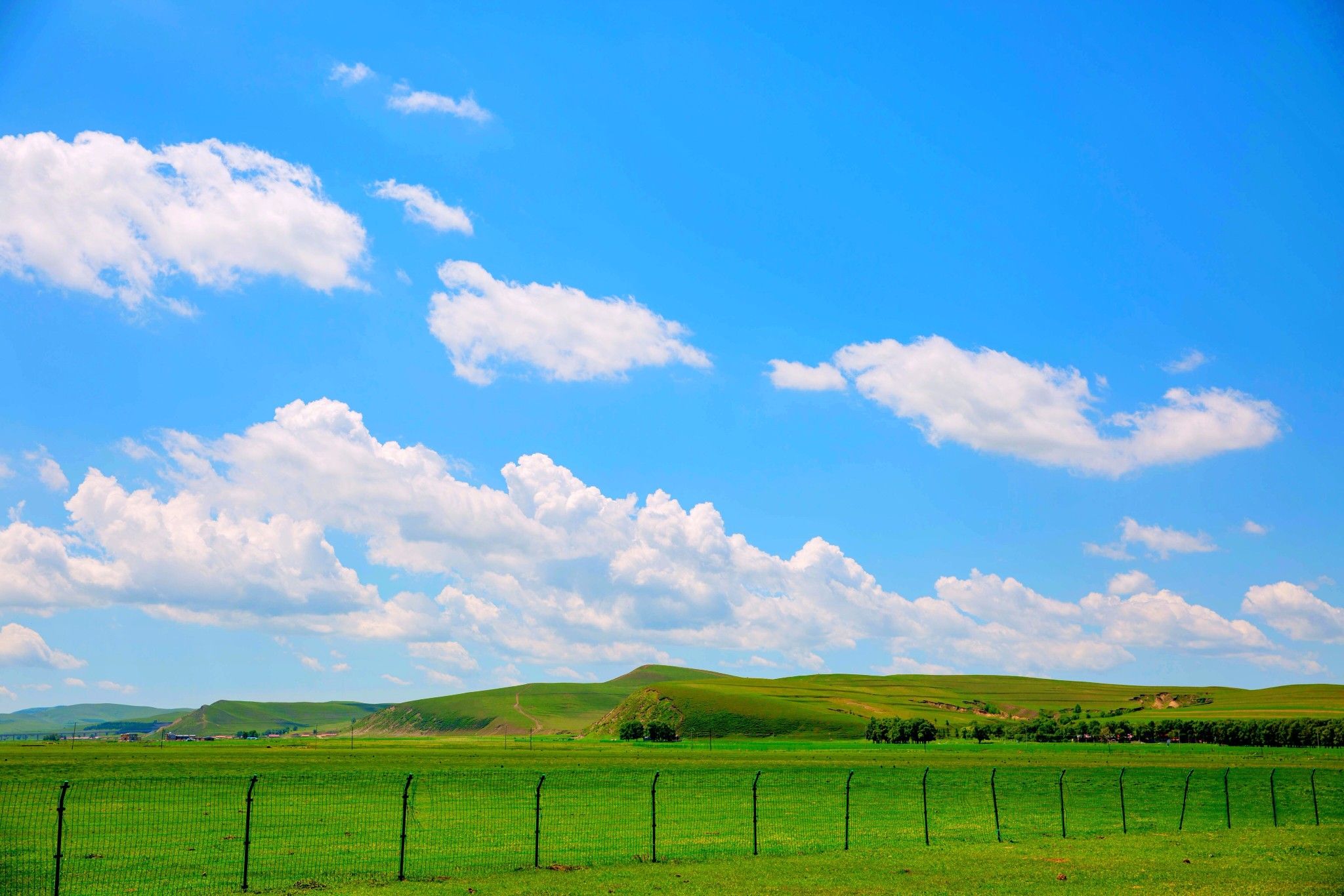 豐寧京北第一草原