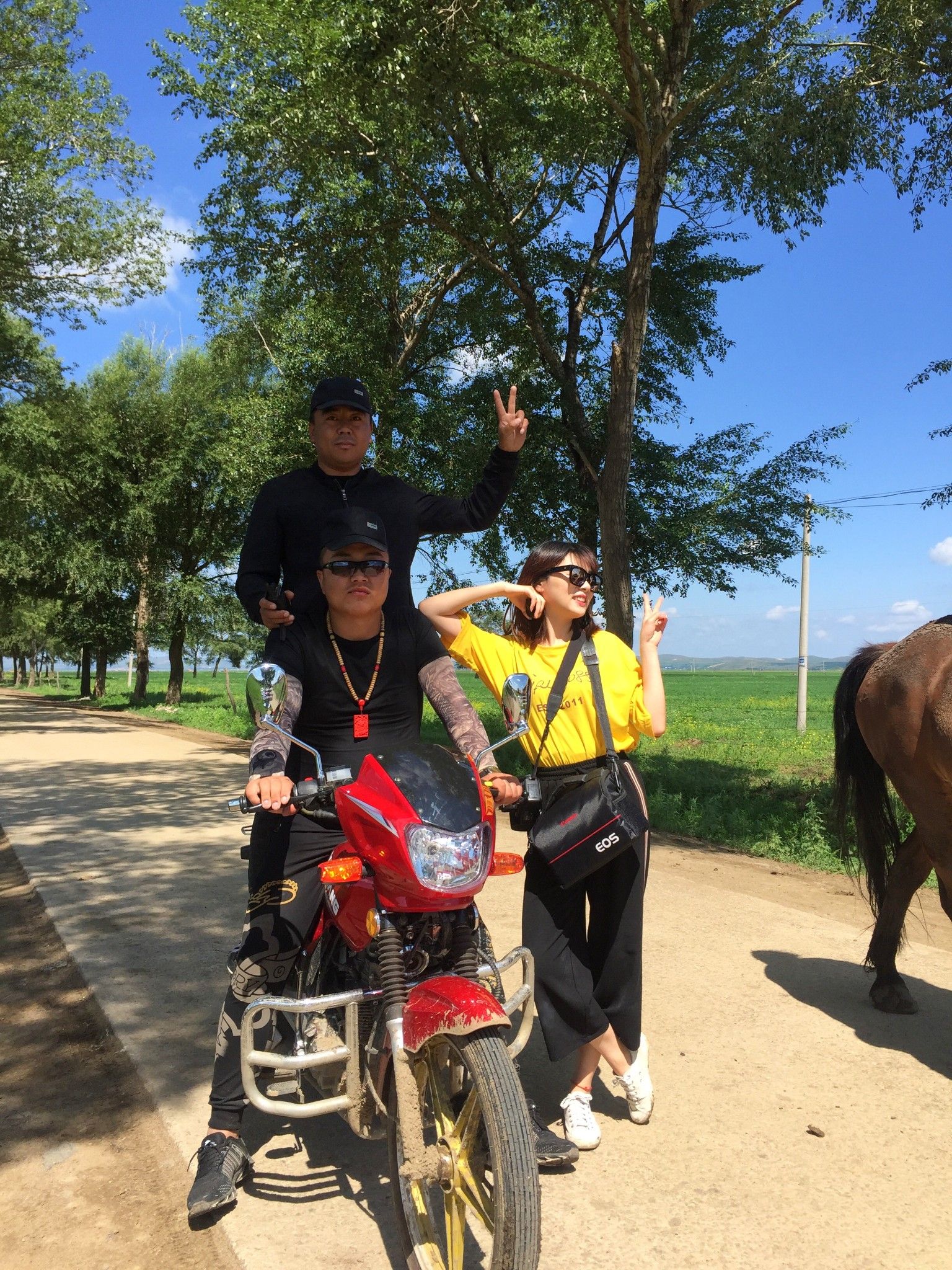 豐寧京北第一草原