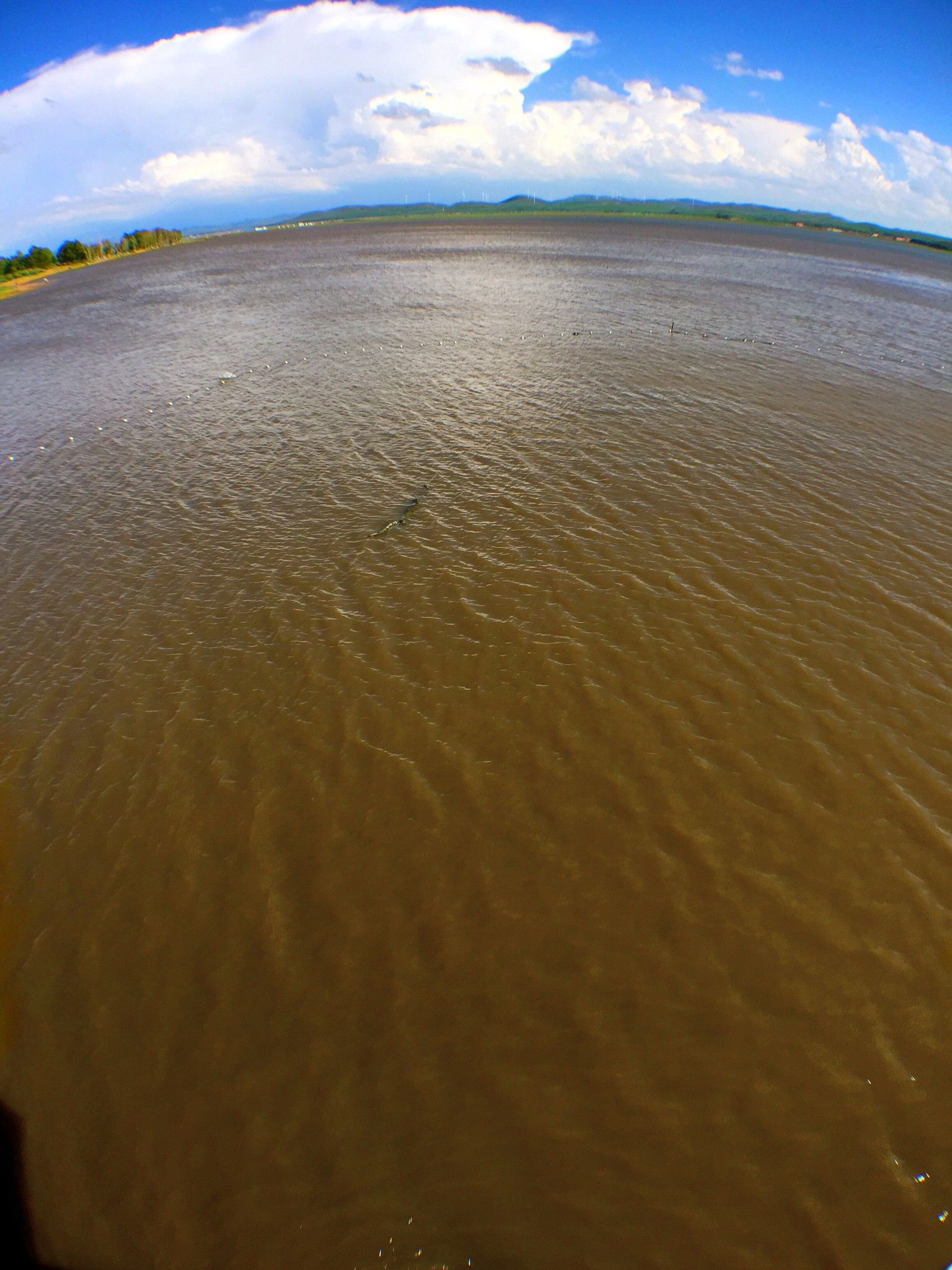 豐寧京北第一草原