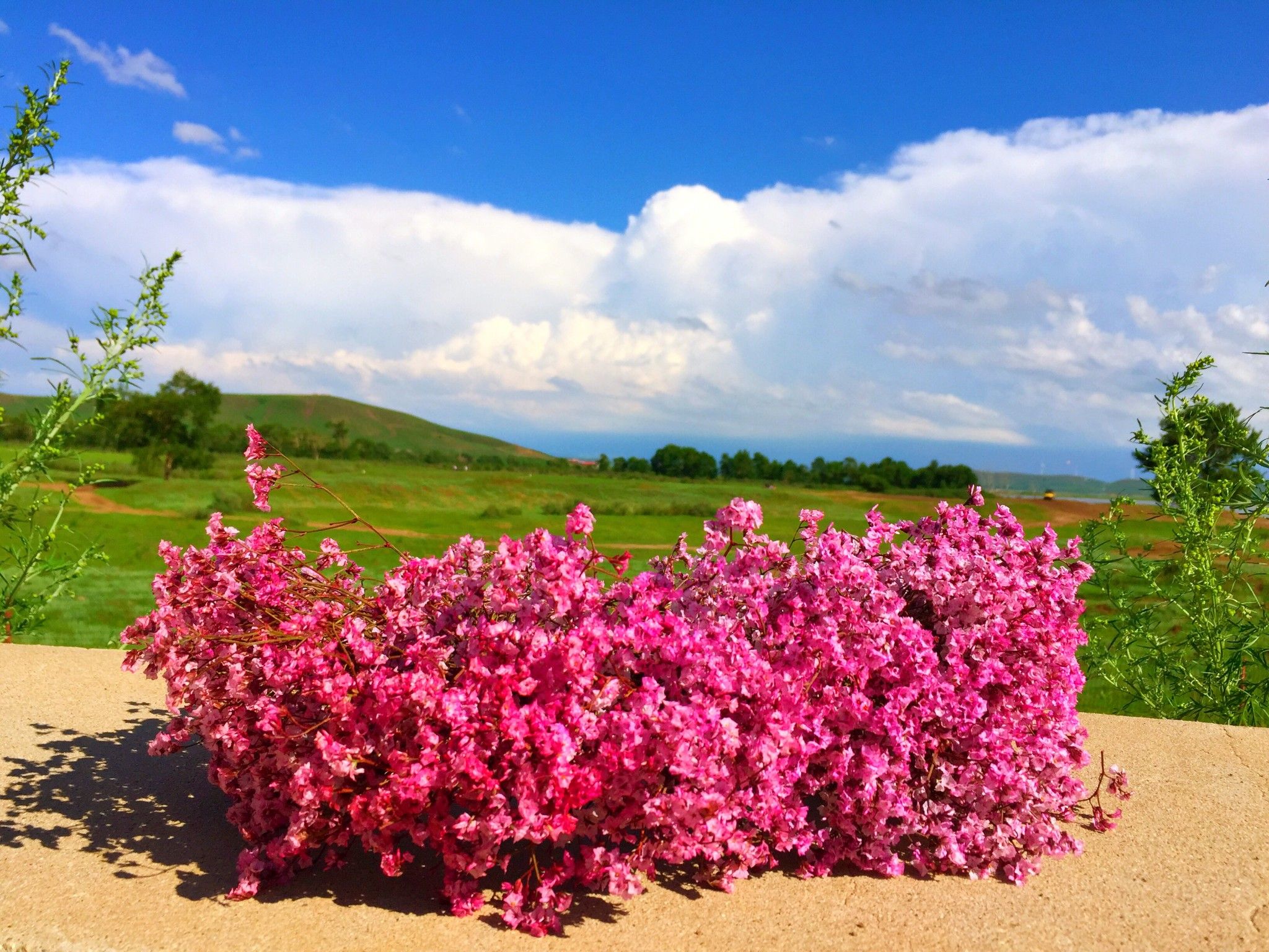 豐寧京北第一草原
