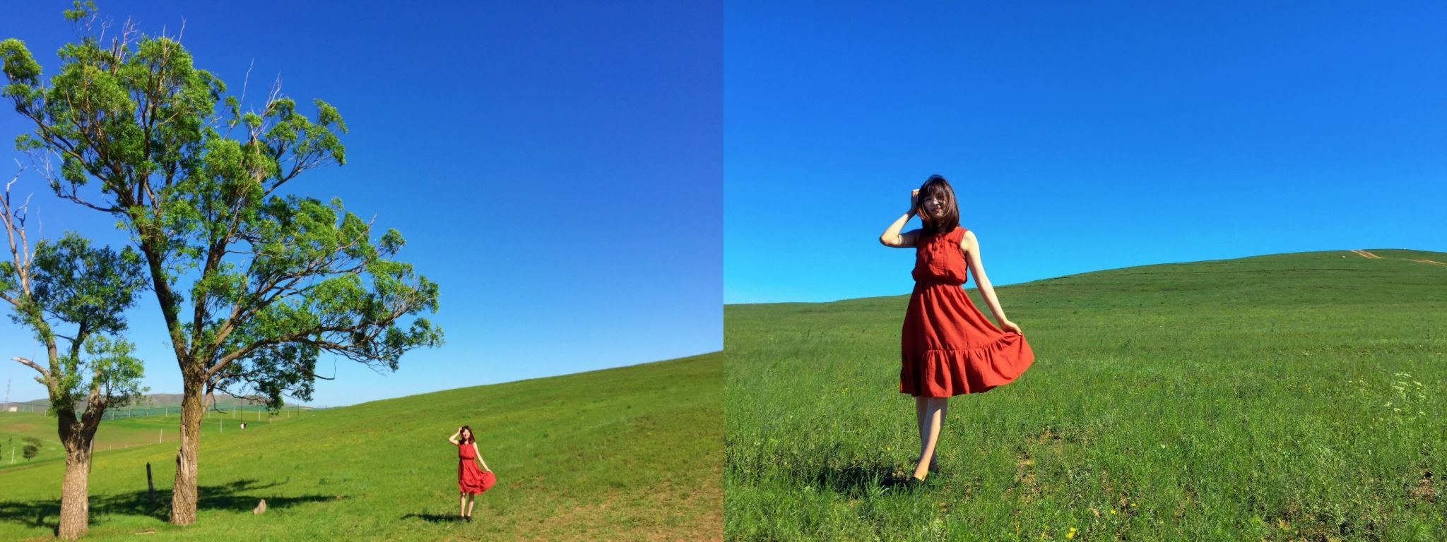 豐寧京北第一草原