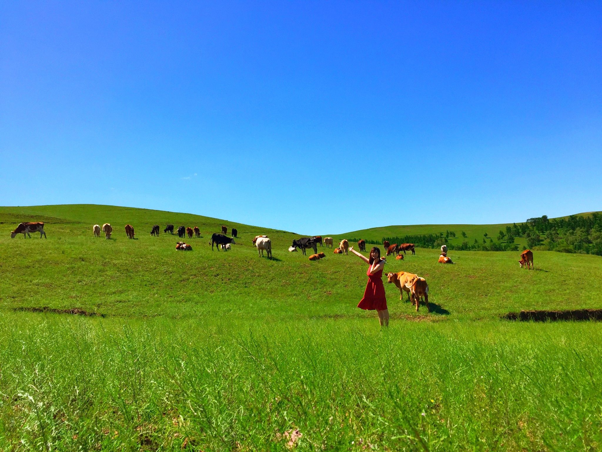 豐寧京北第一草原