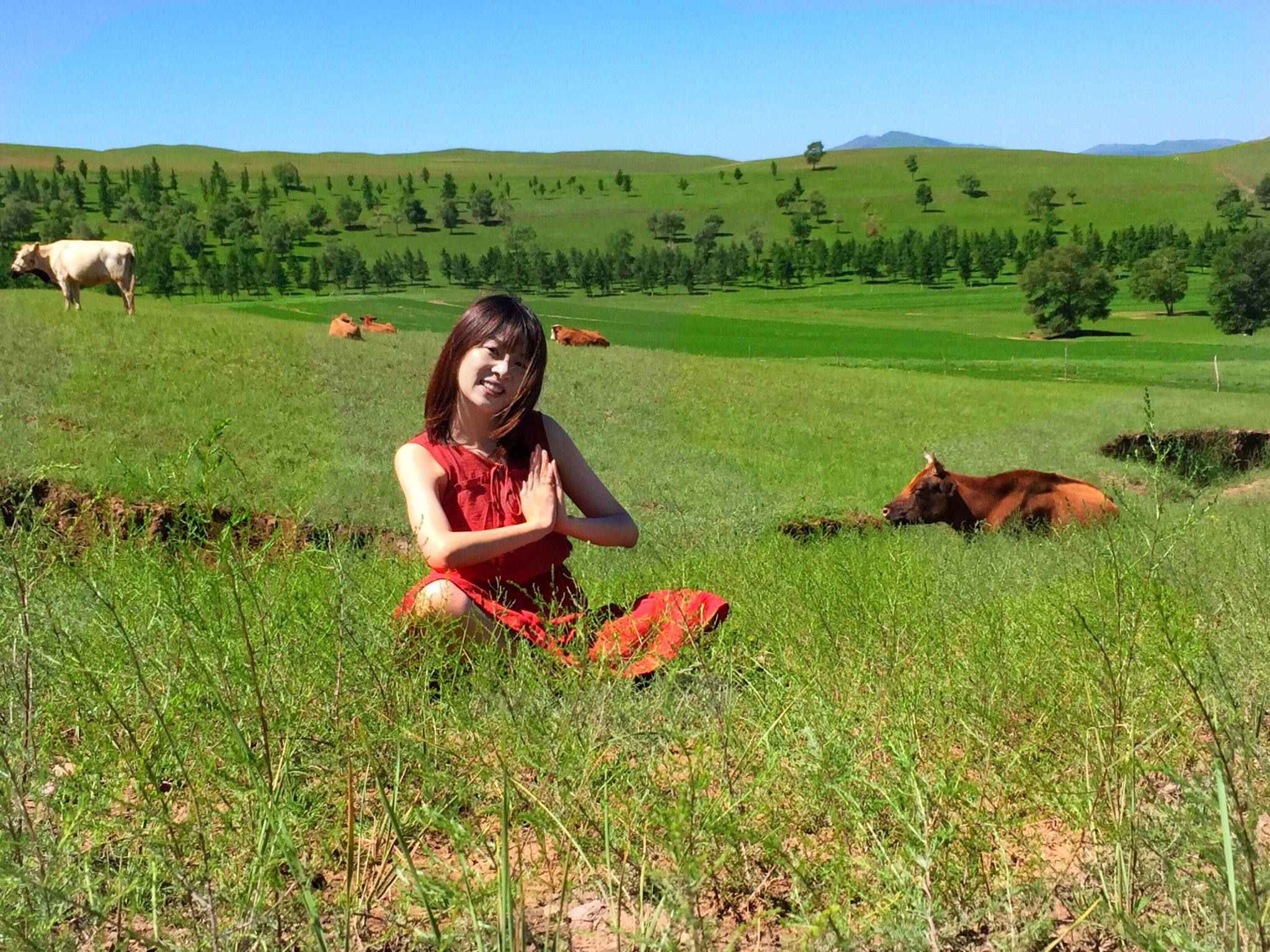 豐寧京北第一草原
