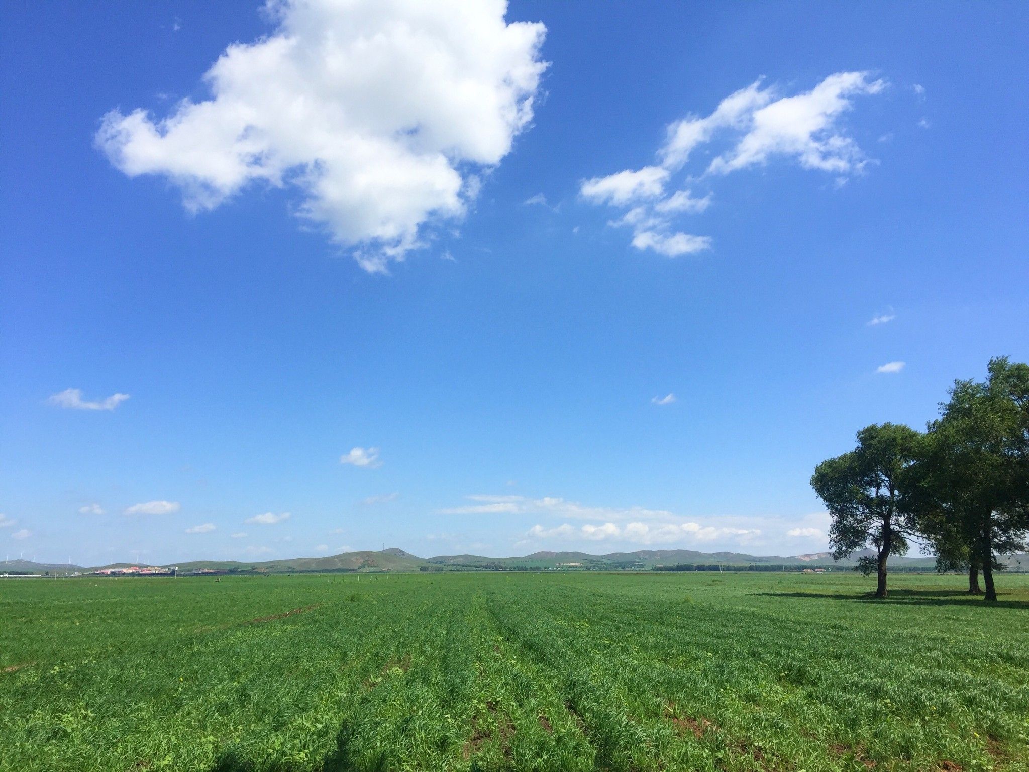 豐寧京北第一草原