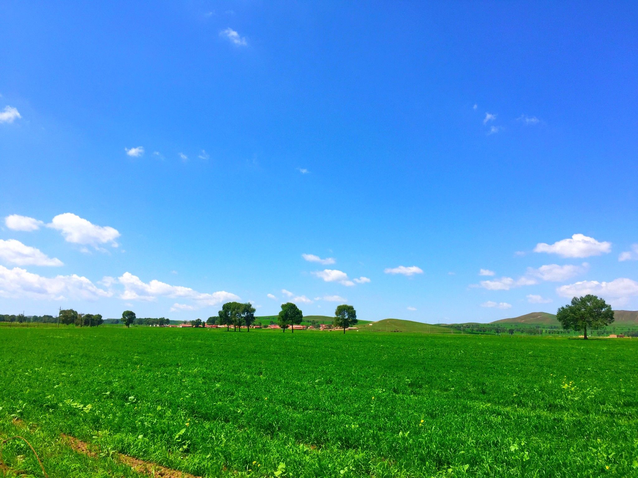 豐寧京北第一草原