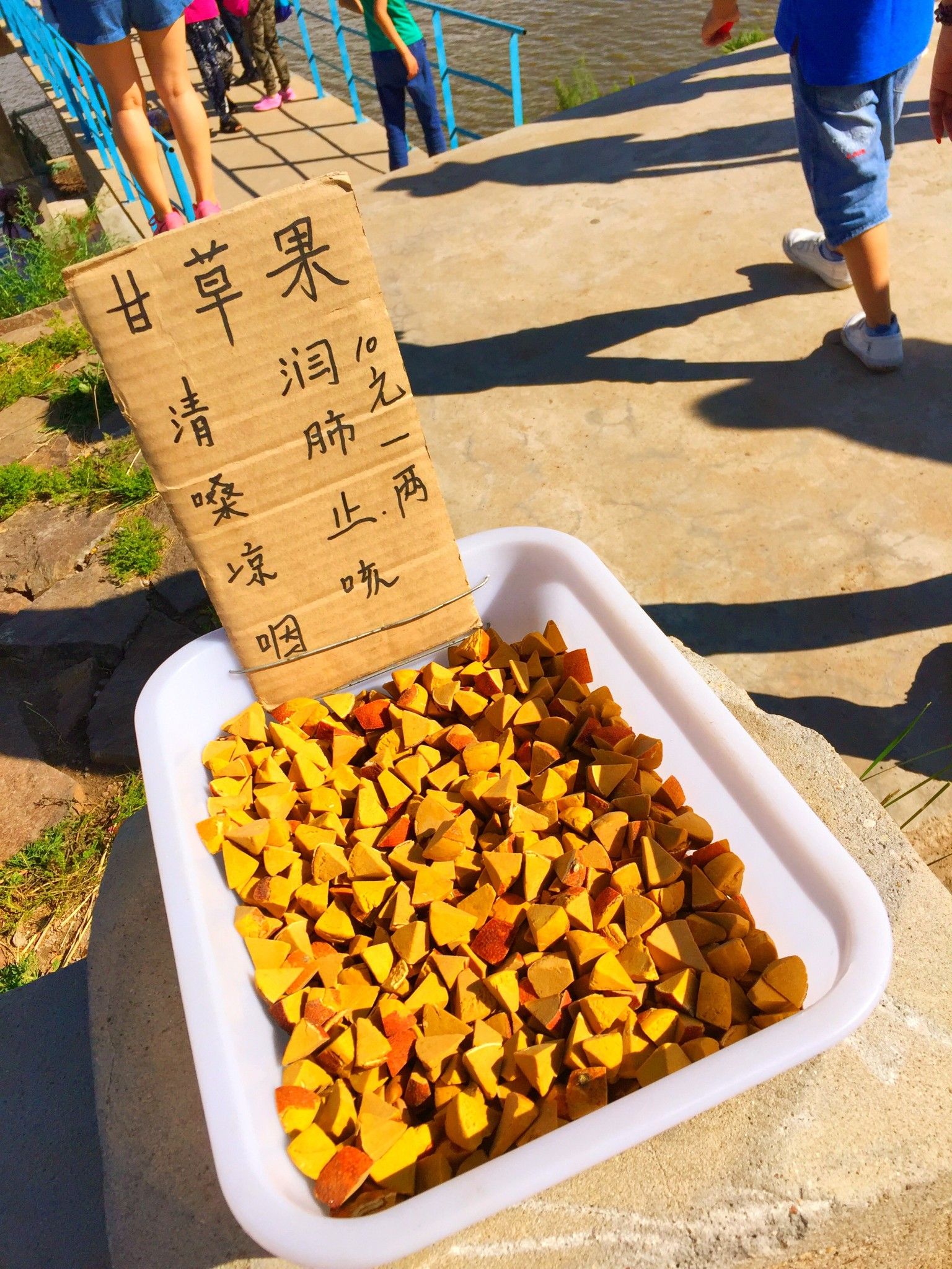 豐寧京北第一草原