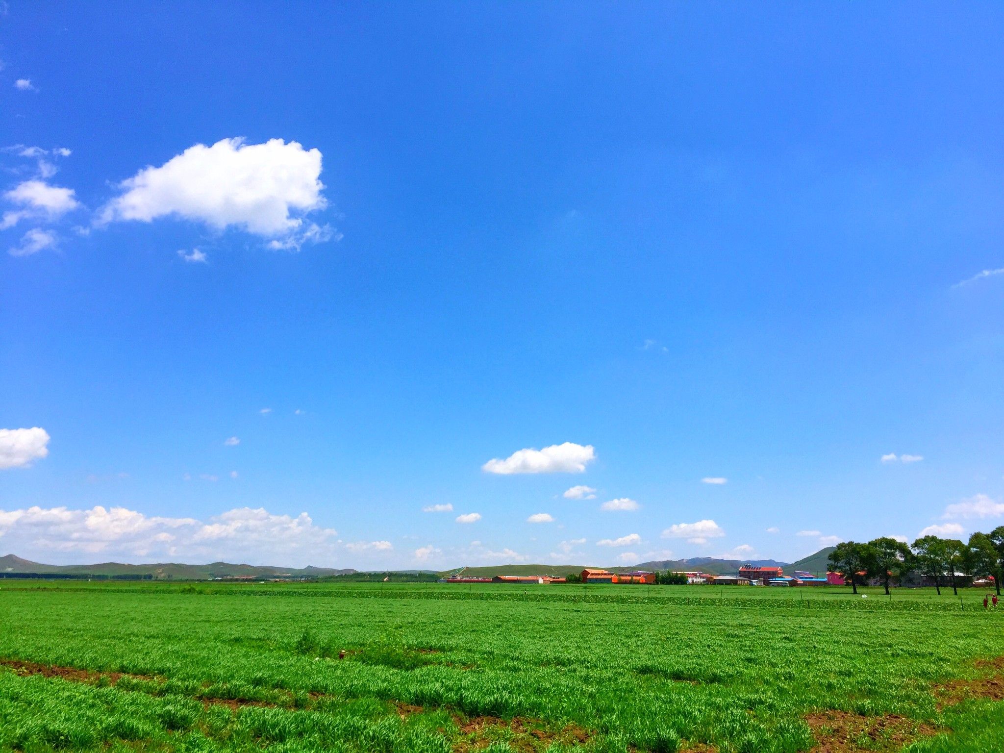 豐寧京北第一草原