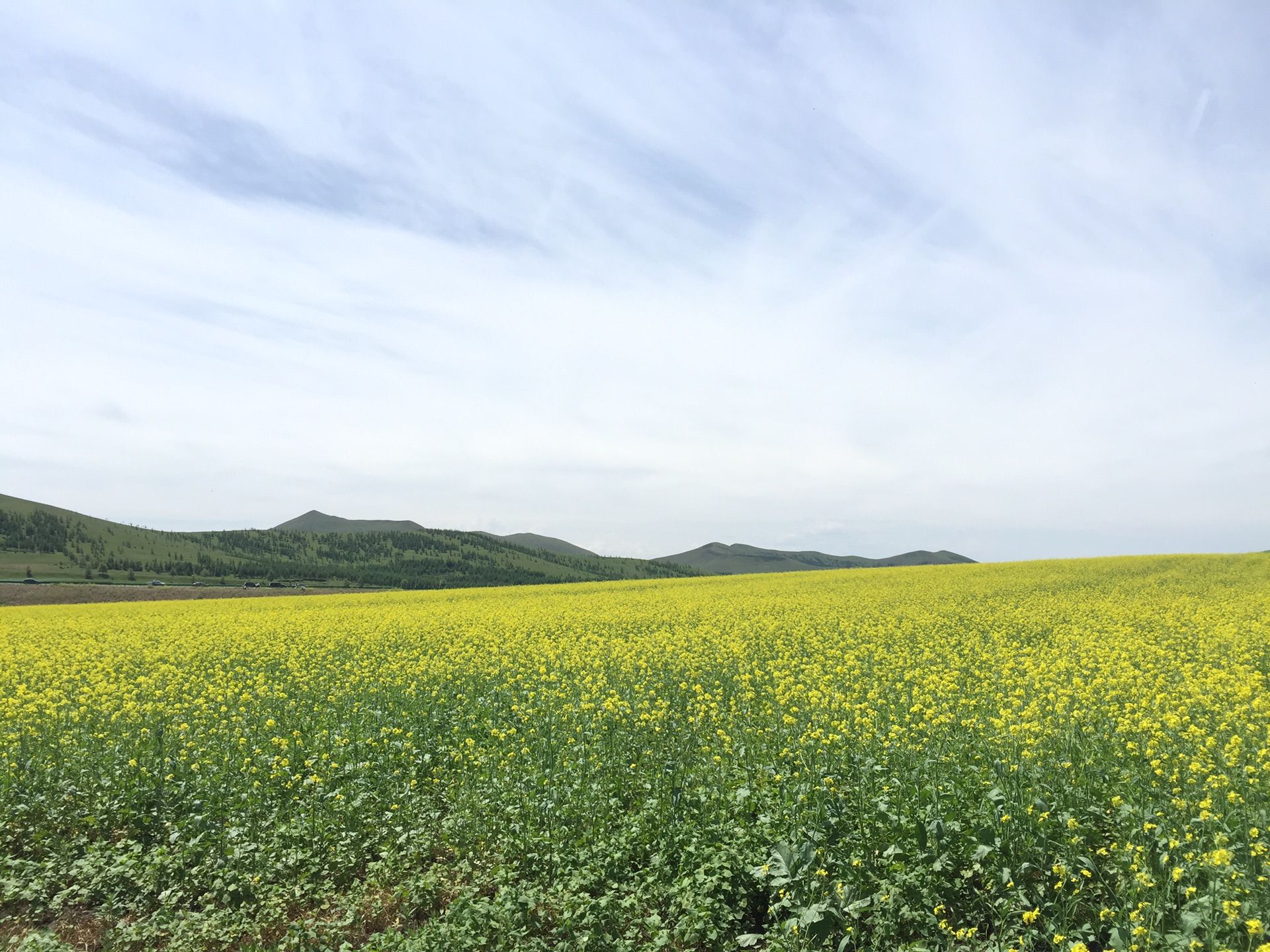 豐寧壩上草原,豐寧京北草原
