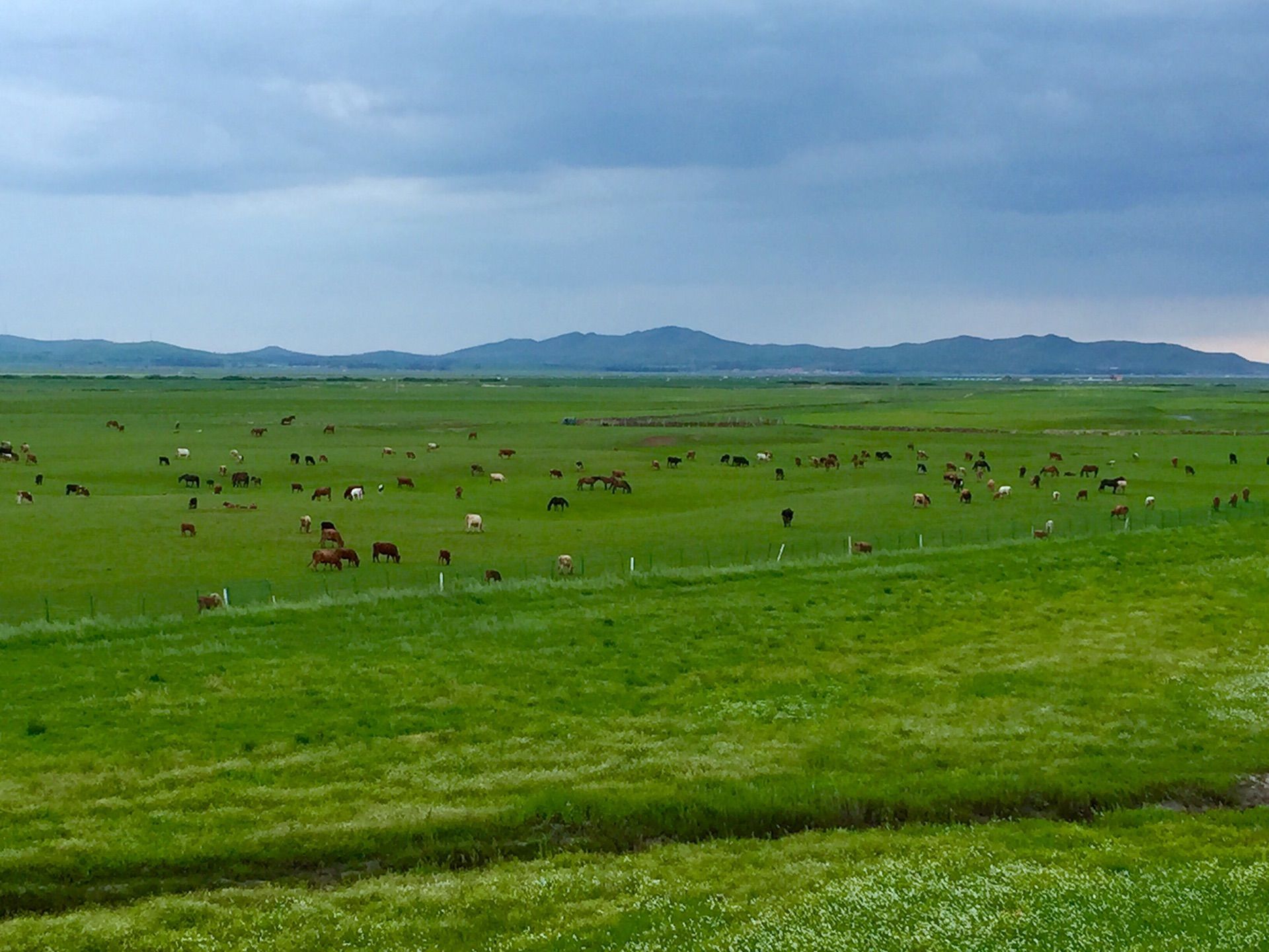 豐寧壩上草原,豐寧京北草原