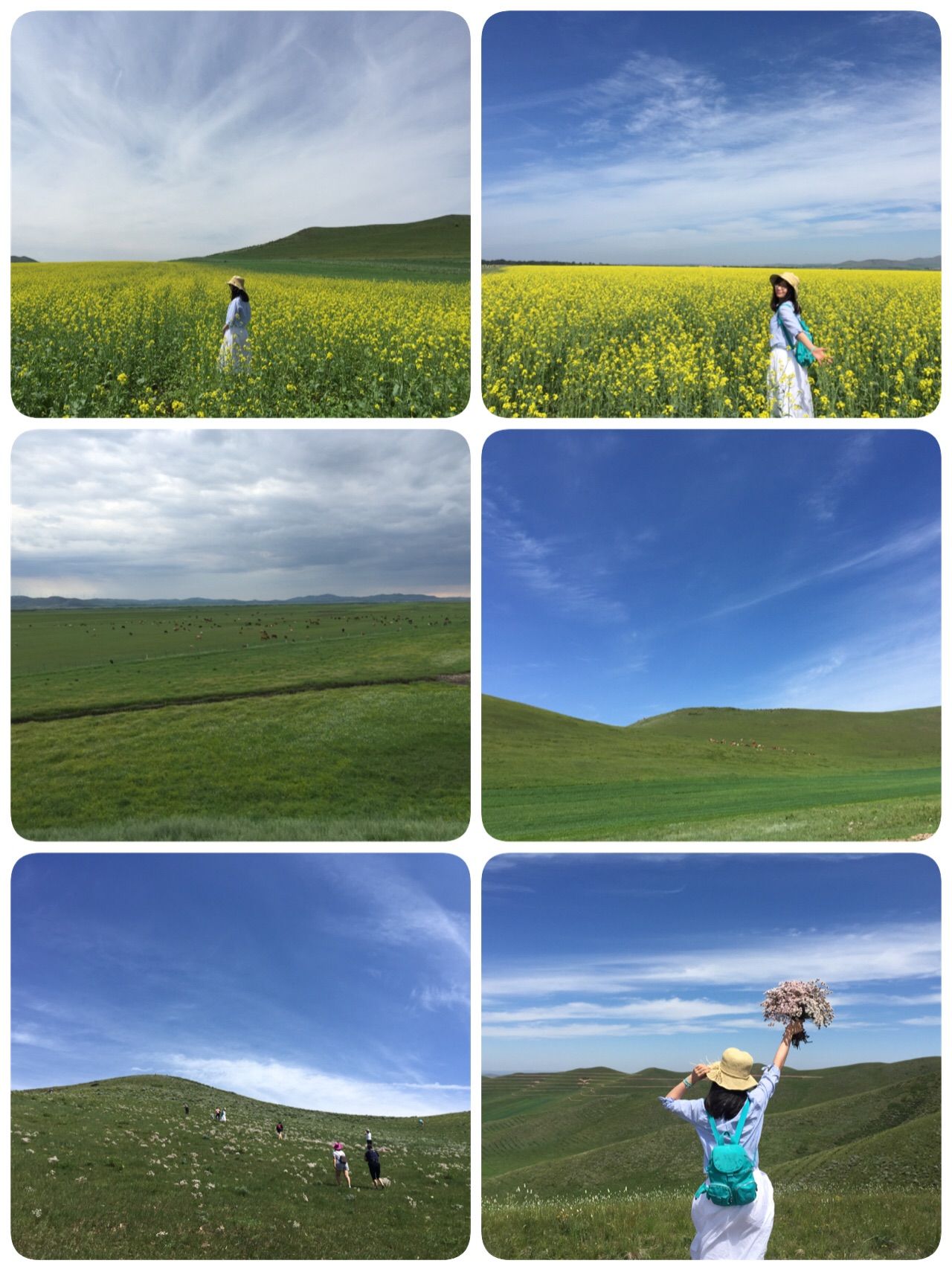 豐寧壩上草原,豐寧京北草原