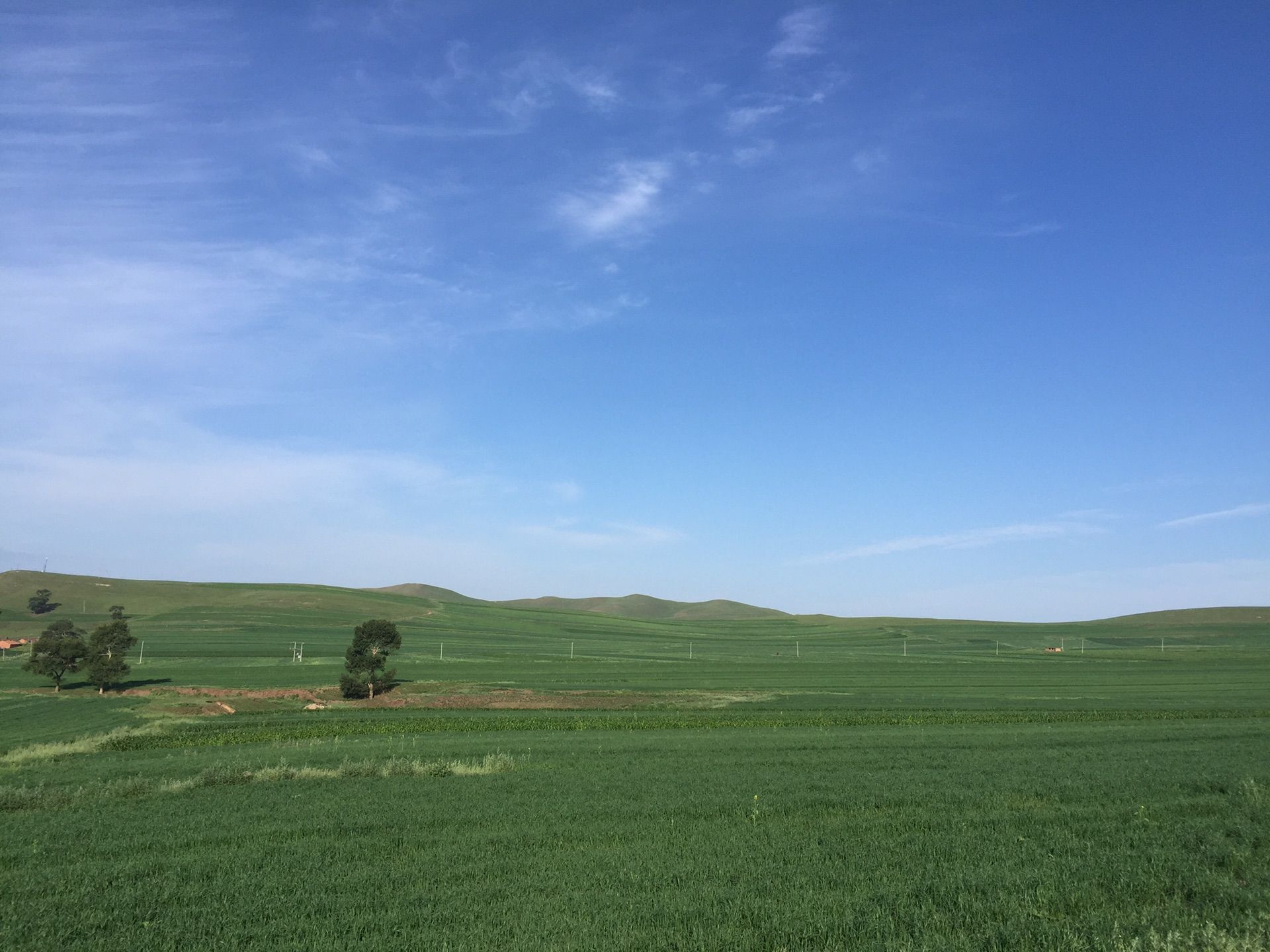 豐寧壩上草原,豐寧京北草原