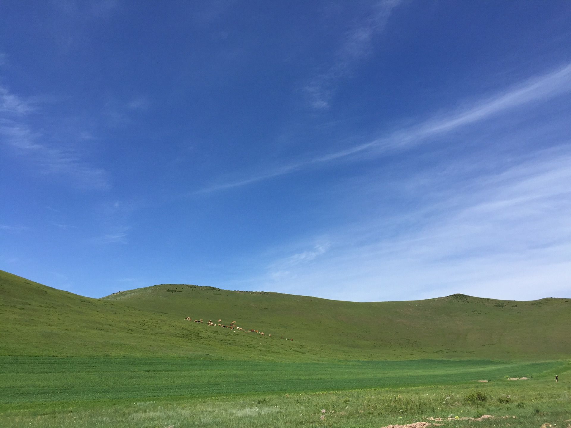 豐寧壩上草原,豐寧京北草原