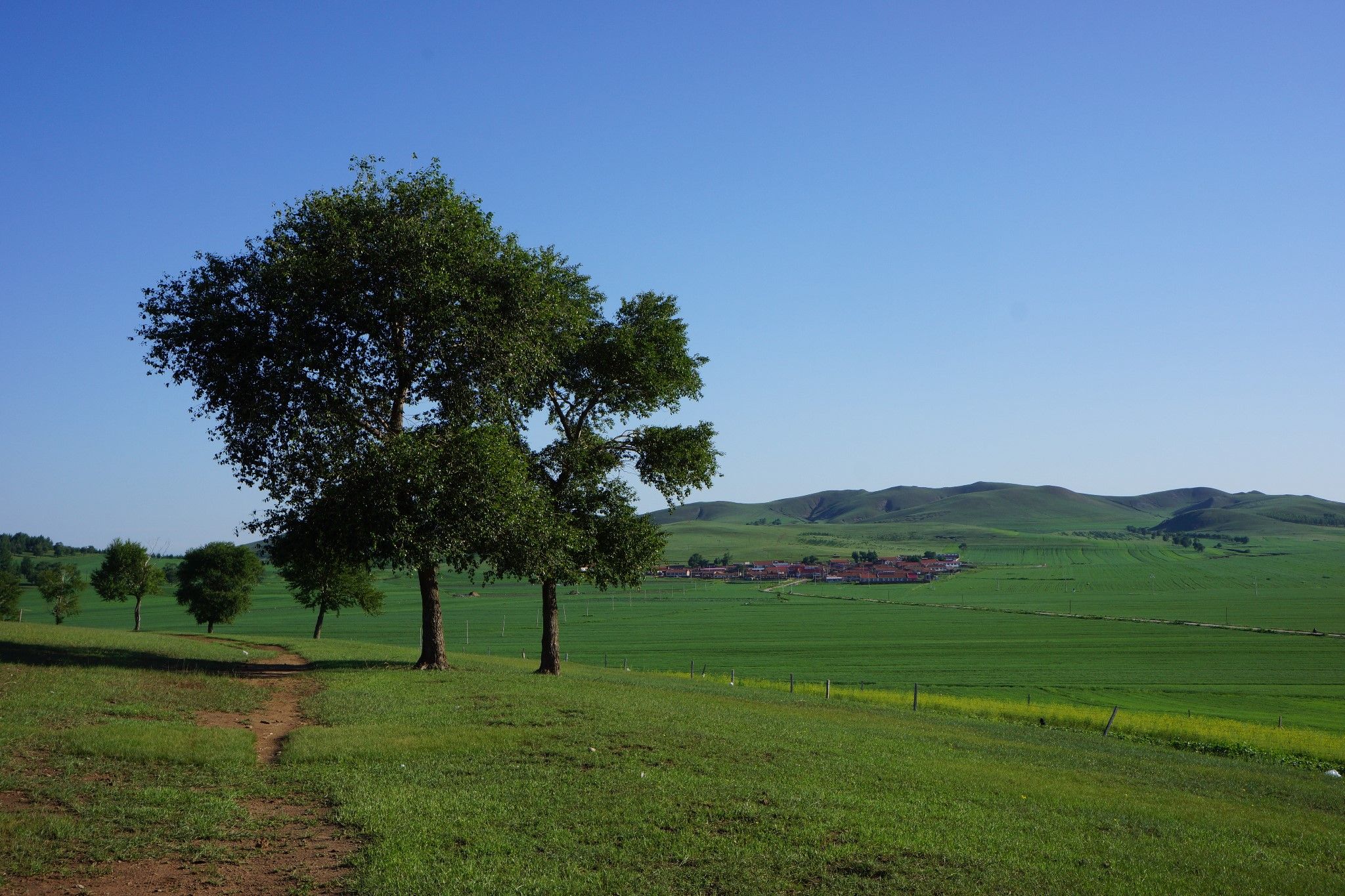 豐寧壩上草原,豐寧京北草原